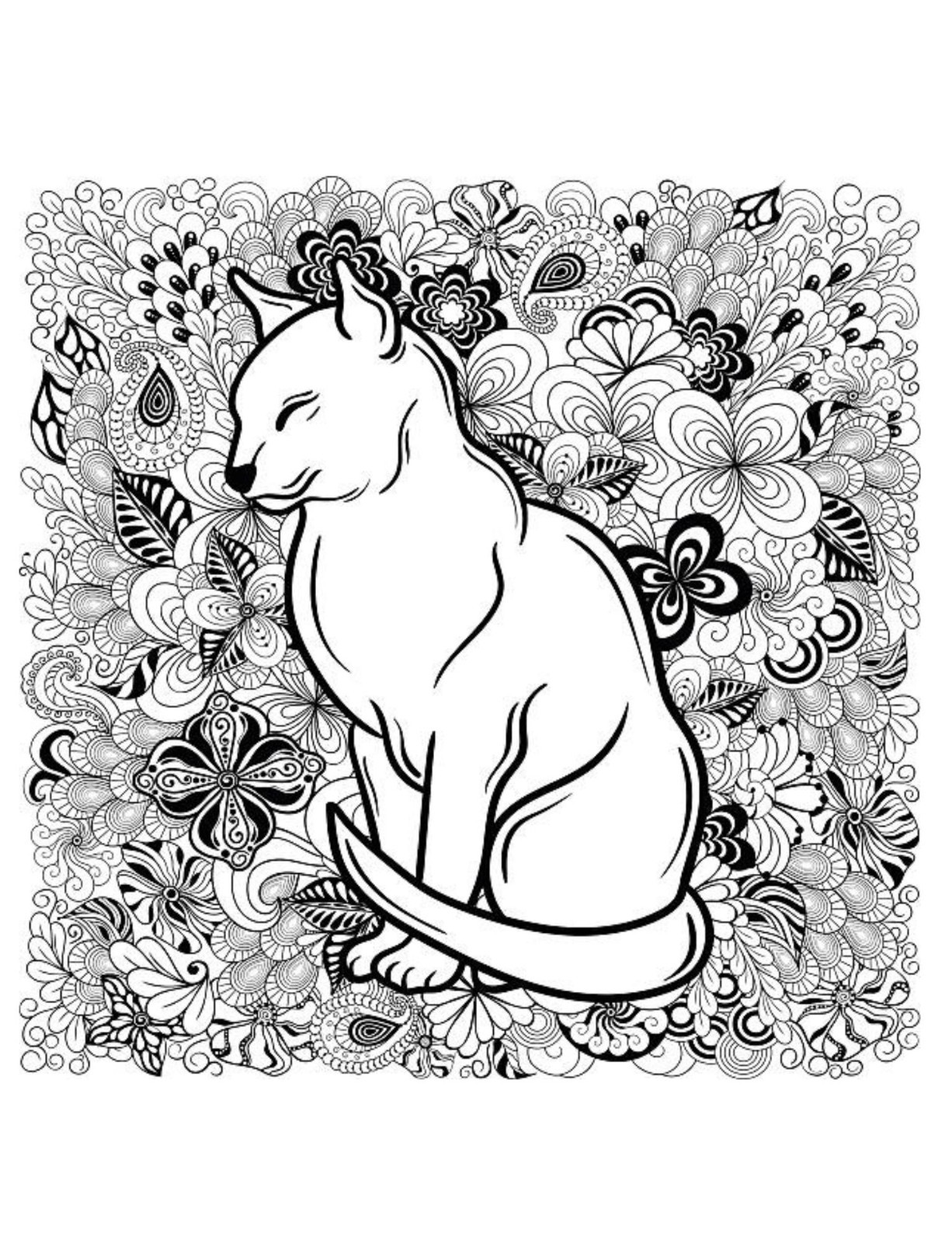 Dogs and Cats Coloring Book for All Ages 108 Pages 8.5 x 11 for All Ages