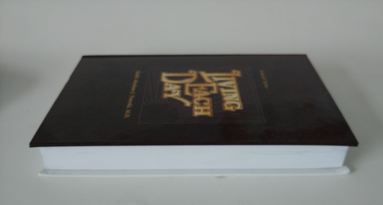 Living Each Day by Abraham J. Twerski (The ArtScroll Ser.) (1988, Hardcover)