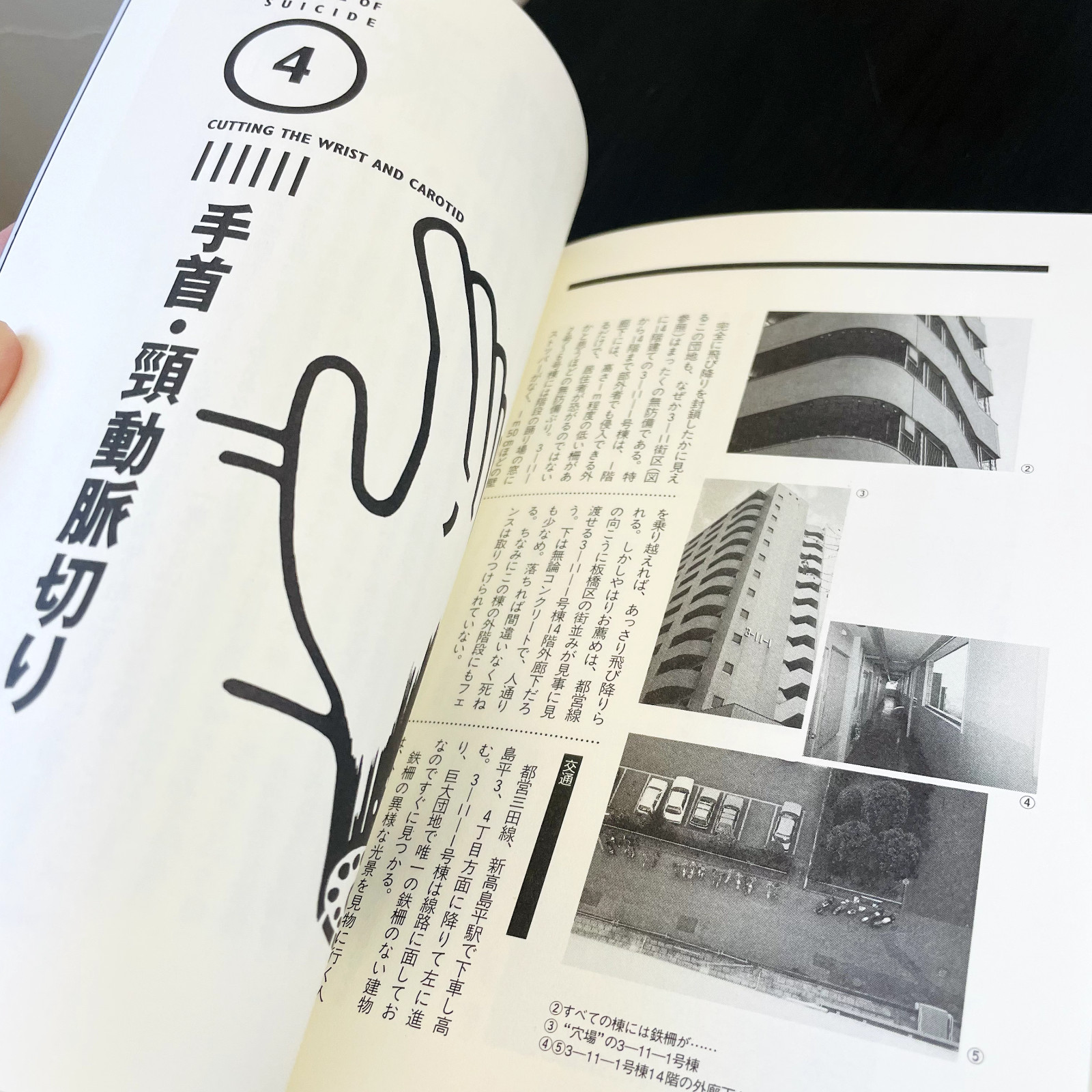 The Complete Manual Of Suicide Japanese Practical Book Kanzen Jisatsu Manual