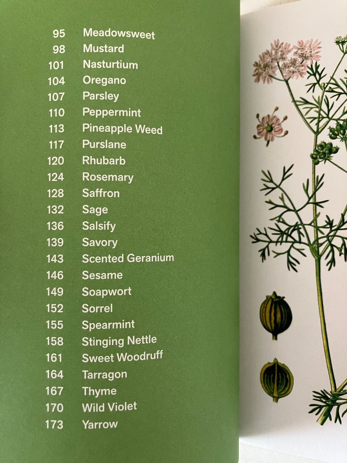 Herbal Handbook New York Botanical Garden 2022 1st Edition Clarkson Potter PB