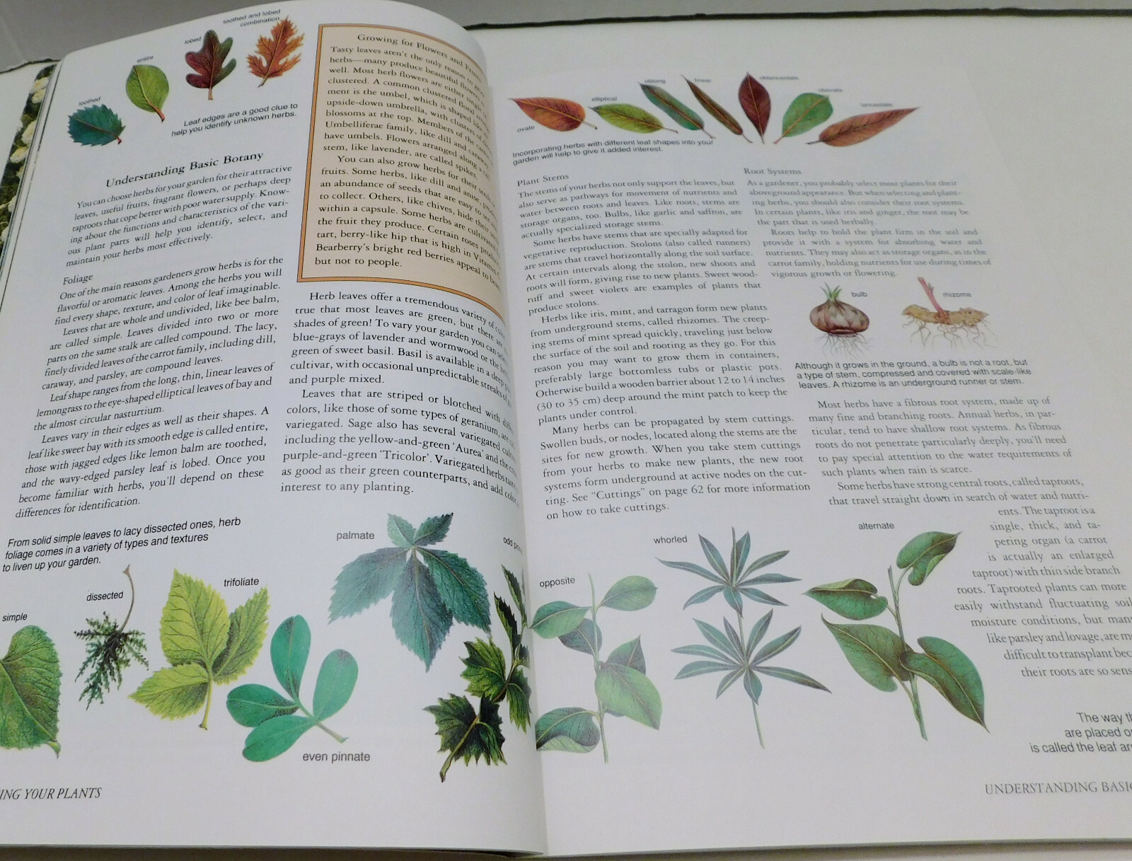 Rodale’s Successful Organic Gardening: Herbs 300 color photos 50 illustratration