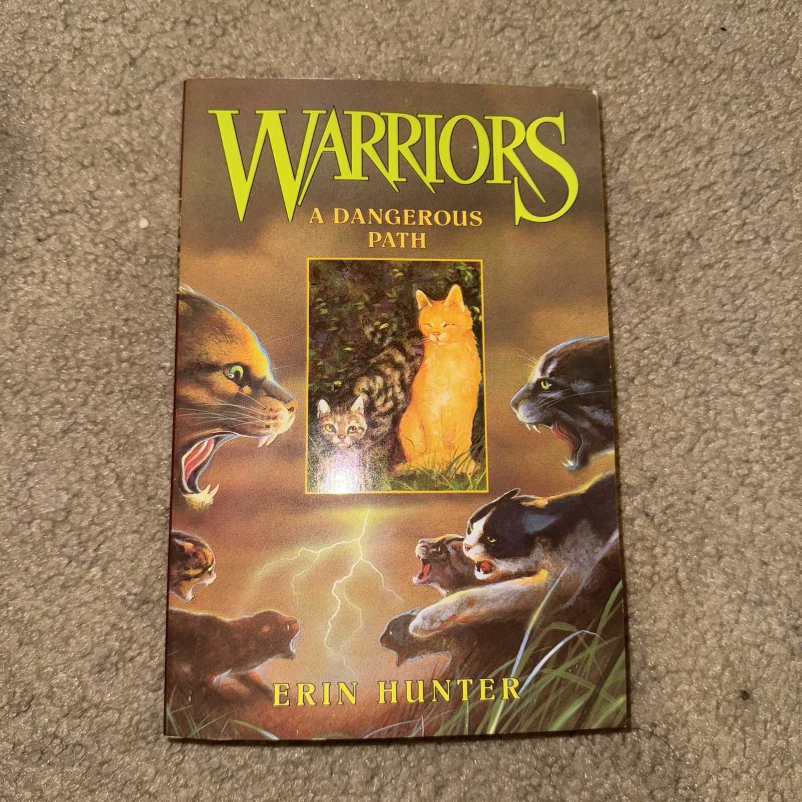 Erin Hunter Warriors Books Lot of 5 Paperback 1-5