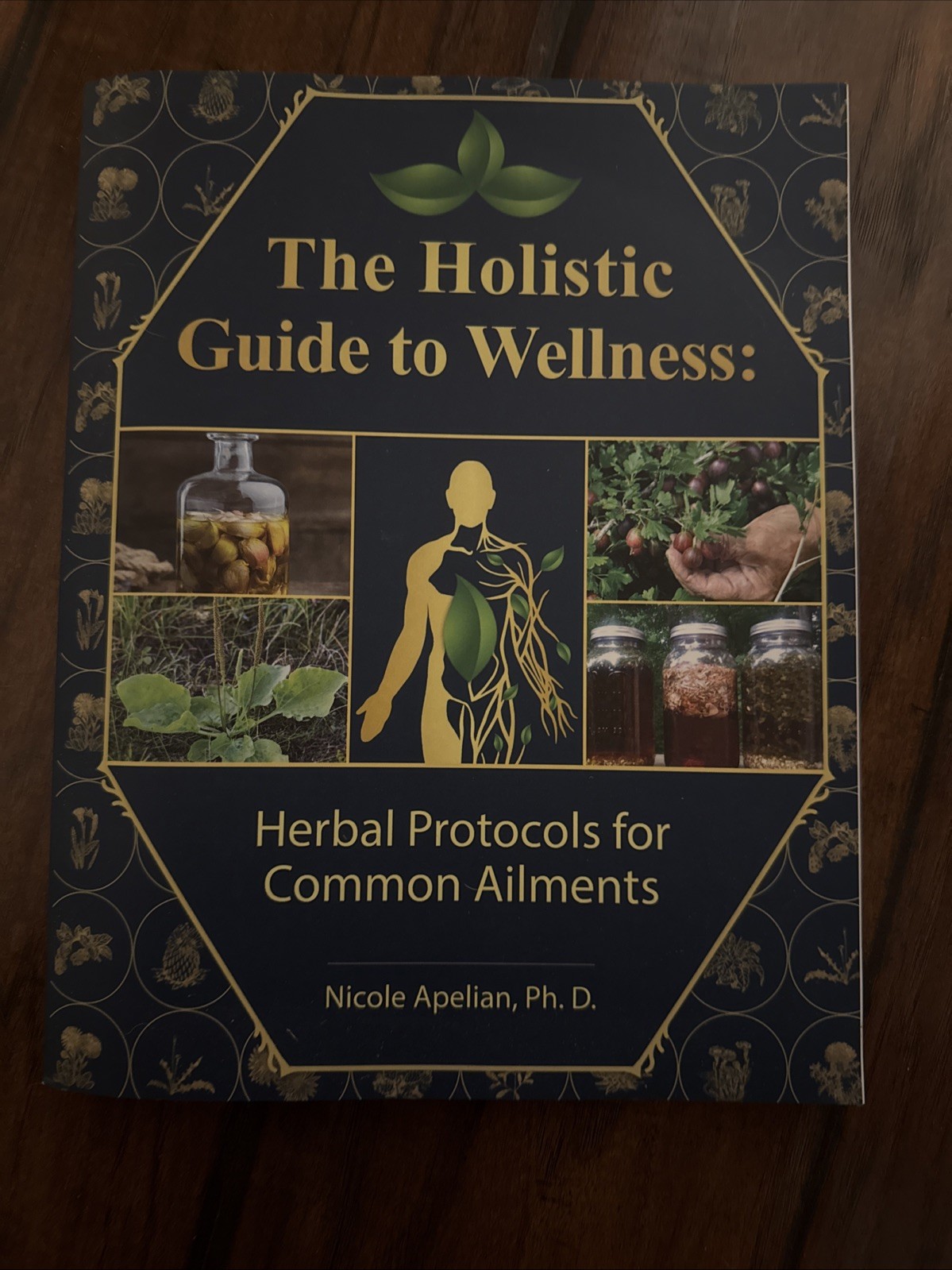 Holistic Guide to Wellness : Herbal Protocols