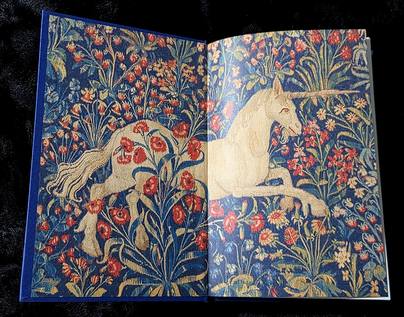 The Unicorn Hunters ~Katherine Arden~ Goldsboro Exclusive ~ Signed #1660/2000