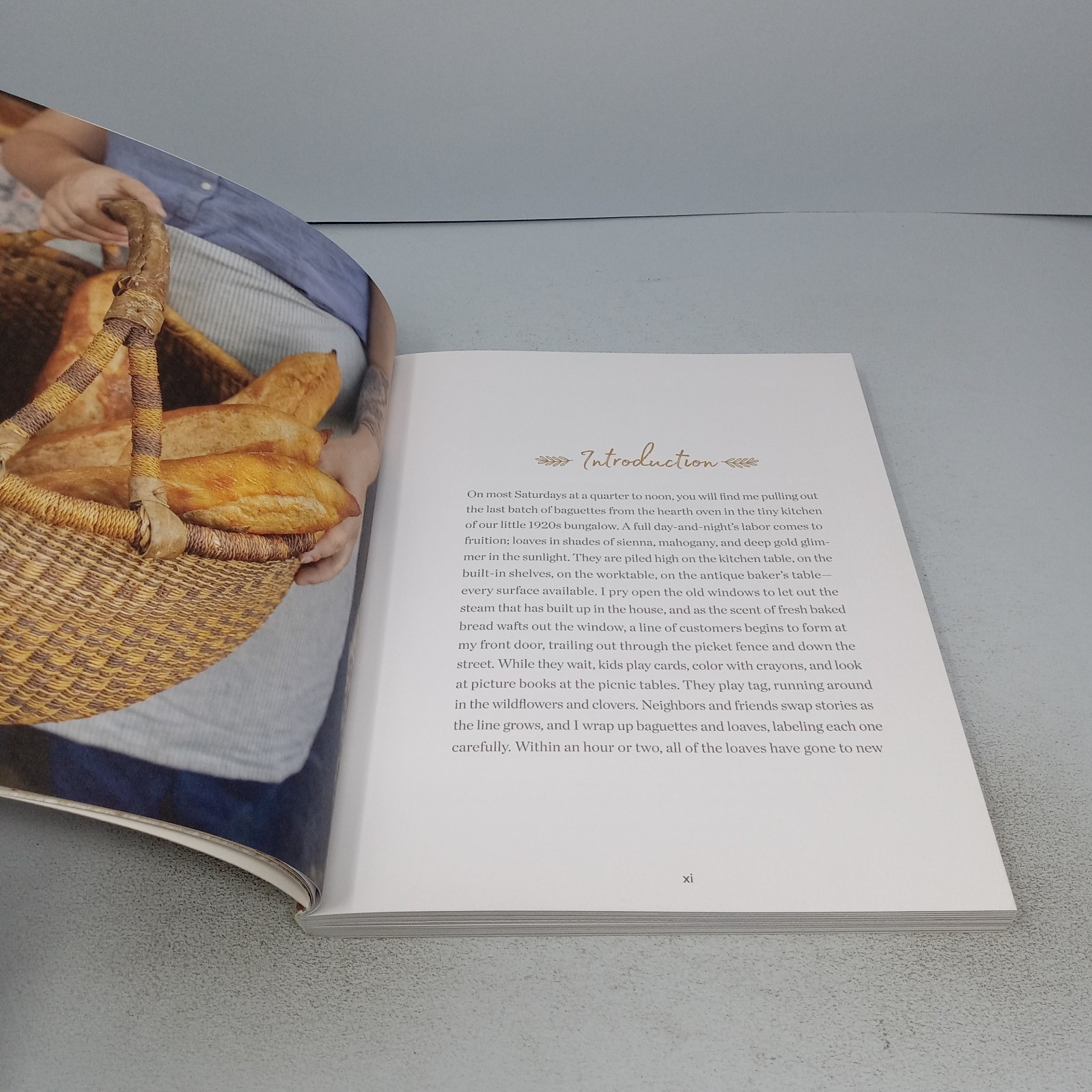 Bread Baking for Beginners: 2018 Callisto Publishing Paperback by Bonnie Ohara