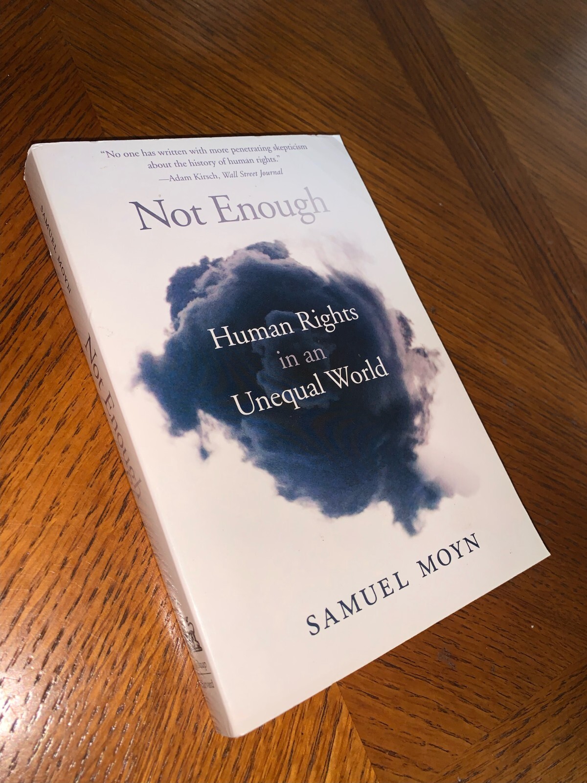 Not Enough : Human Rights in an Unequal World by Samuel Moyn (2019, Trade…