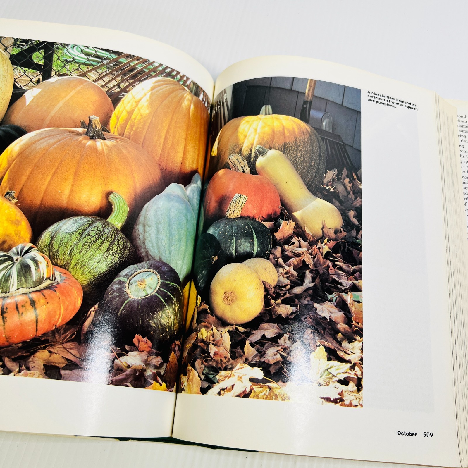 The Victory Garden: The Essential Companion : Three …