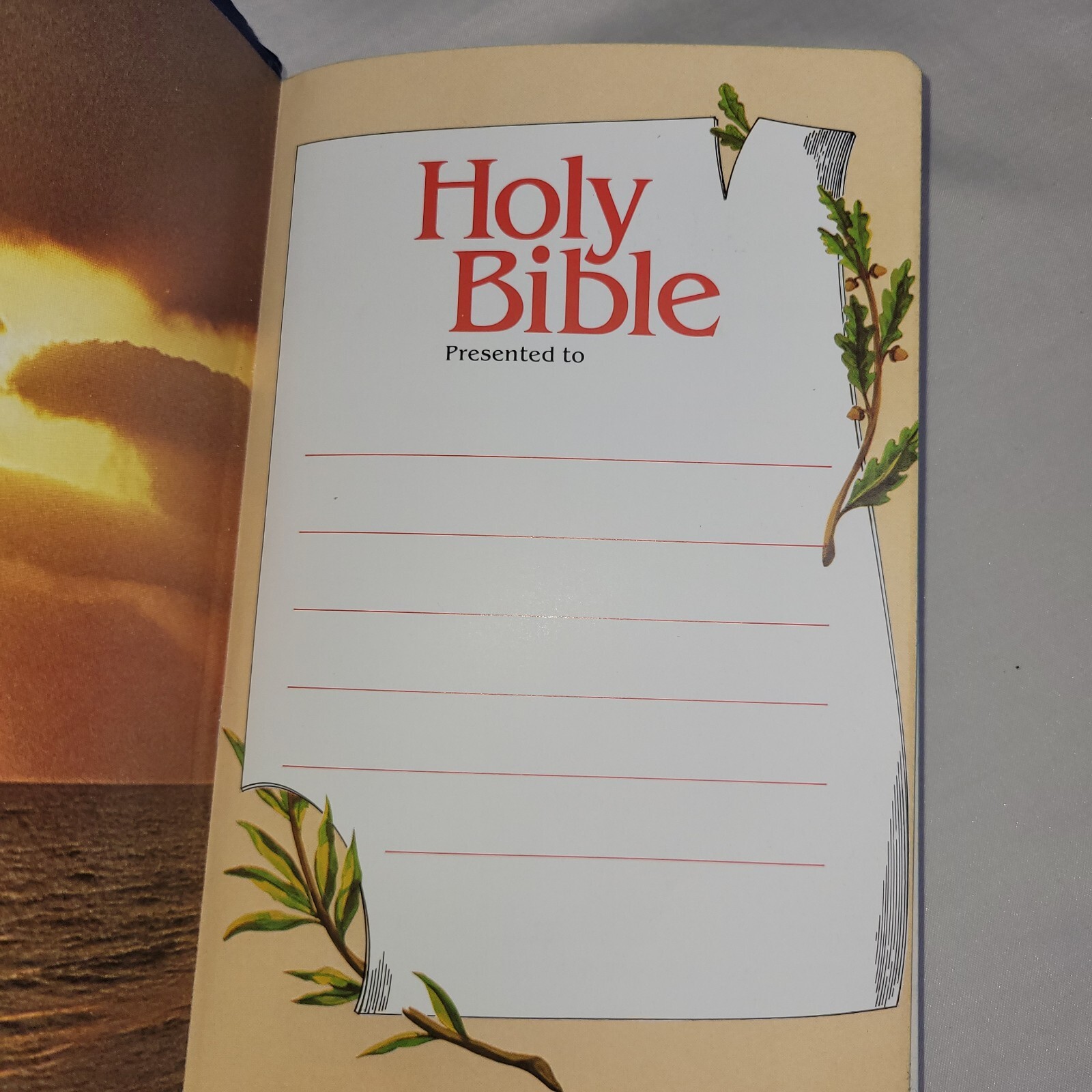 Holy Bible New King James version Words Of Christ In Red Dictionary Concordance