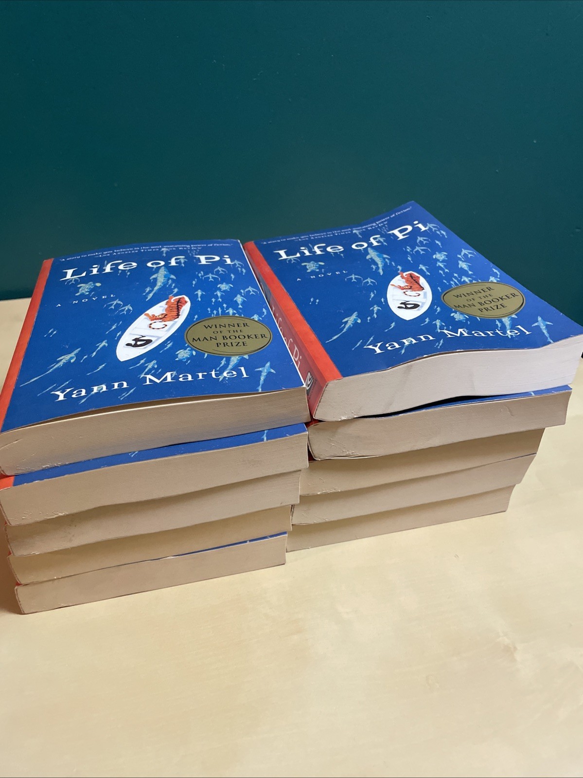 Life of Pi by Yann Martel – Bulk Lot of 10 Books (Teacher / Classroom Set)