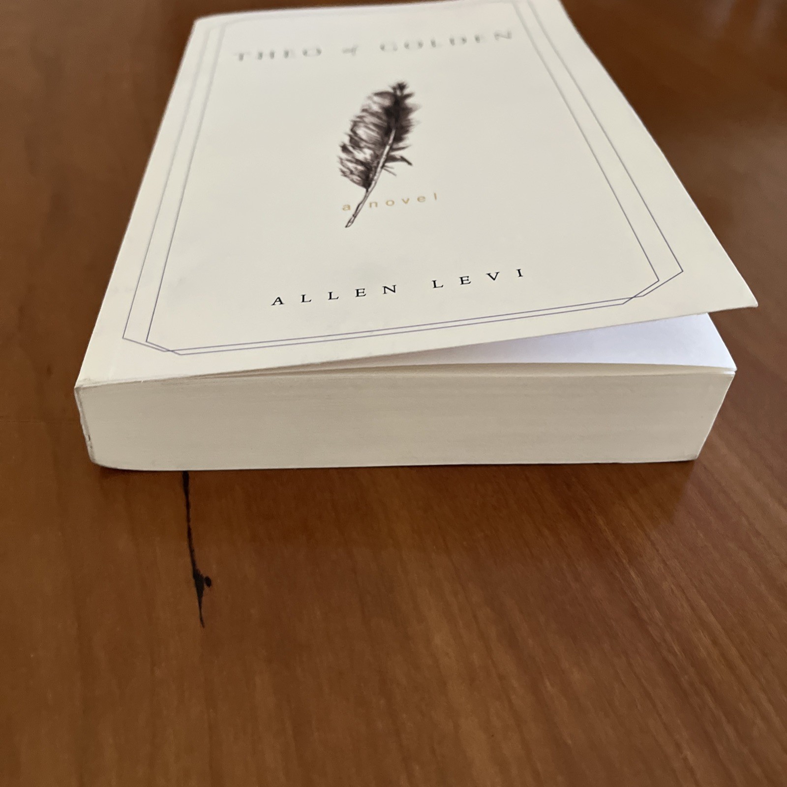Theo of Golden Allen Levi RARE SELF PUBLISHED True 1st Edition STATED TPB
