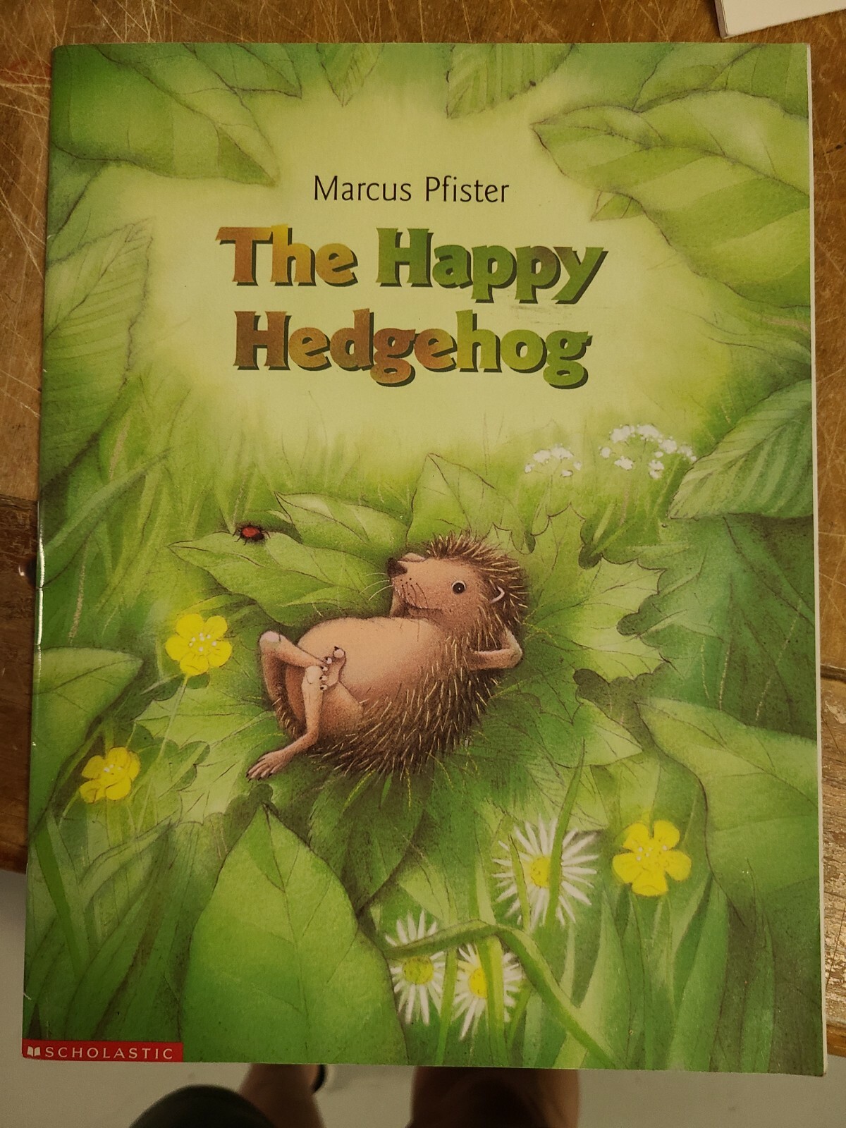 Marcus Pfister Book Lot – 15 Books