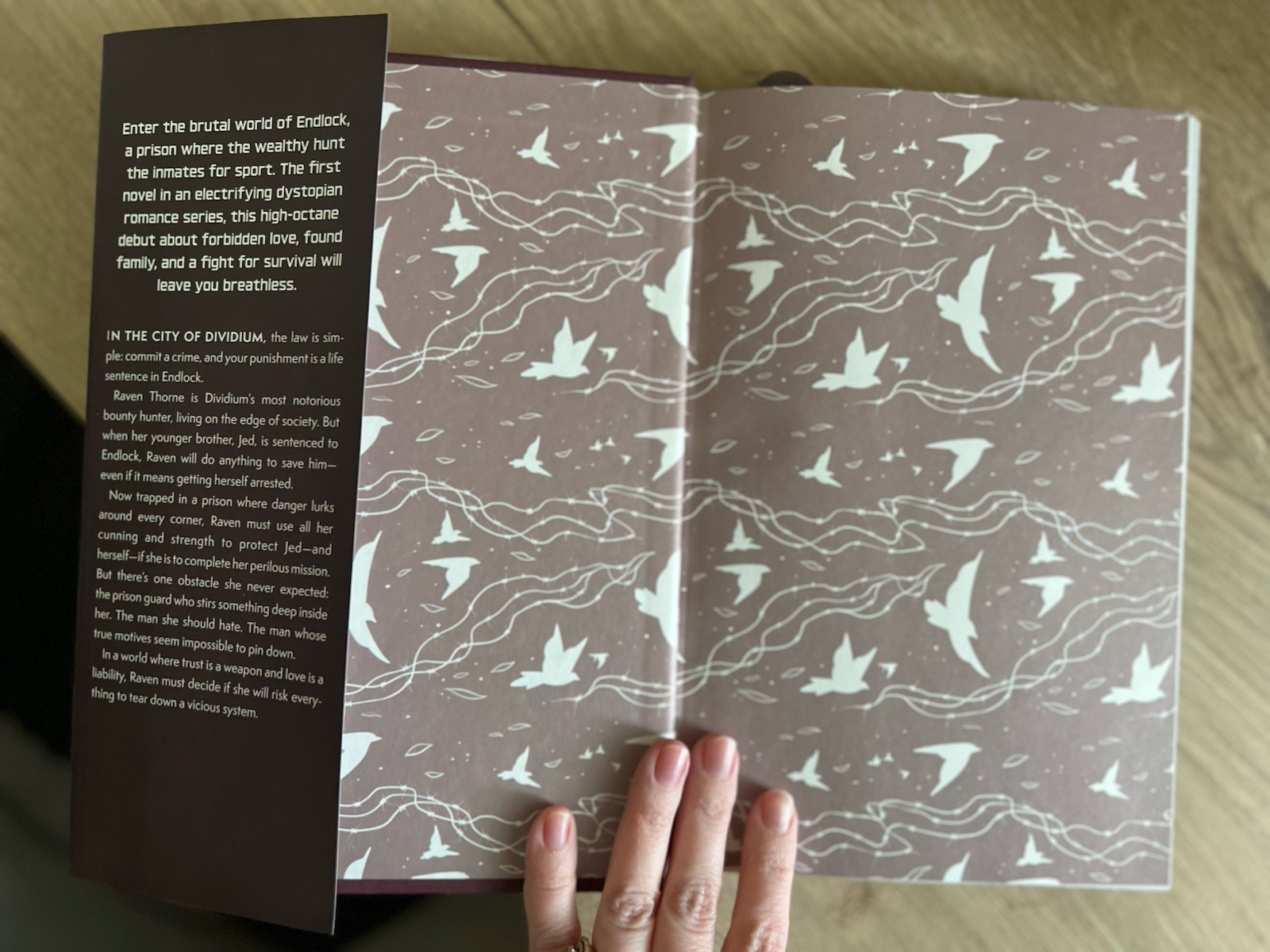 To Cage a Wild Bird by Brooke Fast | Allurial Deluxe Hardcover First Edition