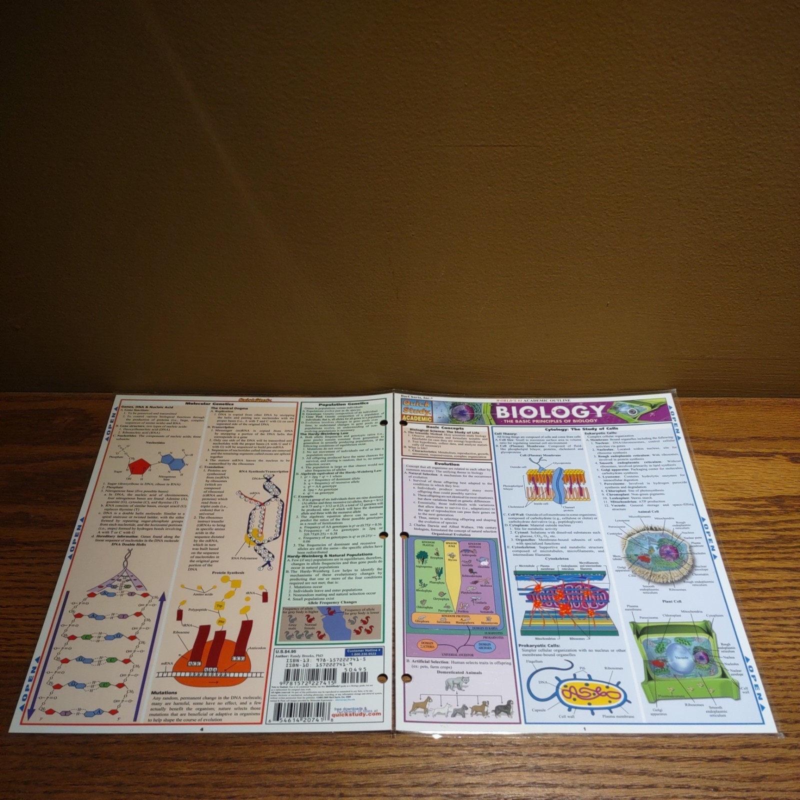 Quick Study Academics BIOLOGY Laminated Study Aid Chart