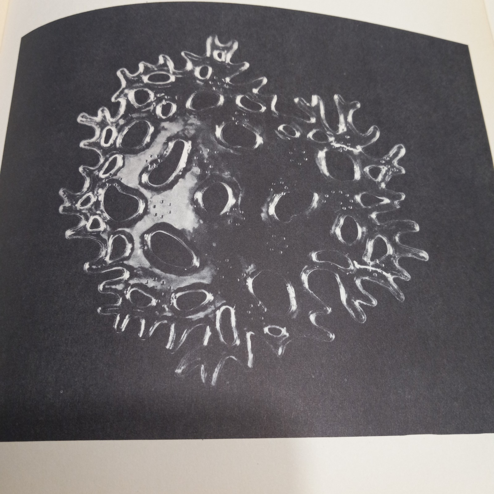 Education of Vision edited by Gyorgy Kepes 1st ed. 1965 233 page Vision & Value
