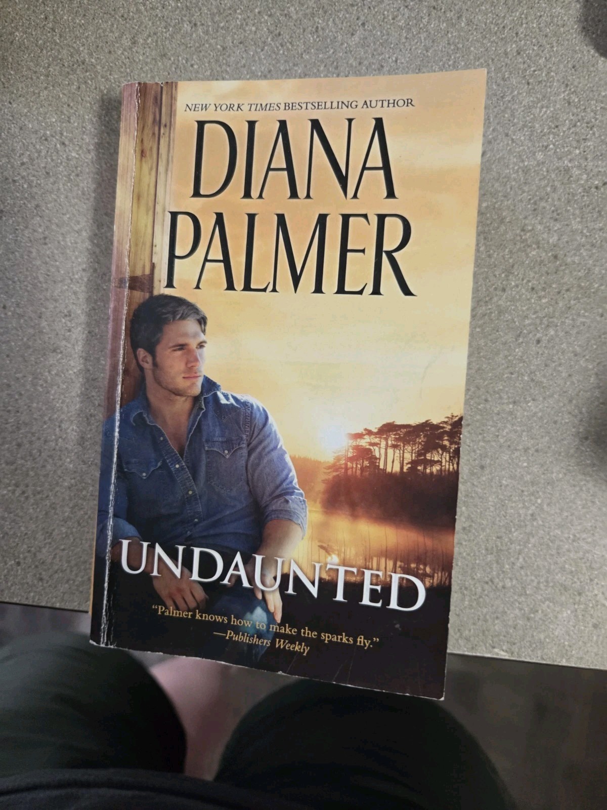 Diana Palmer Lot Of 10 Books Two Are A 2-in-1. Total 12 Stories Romance