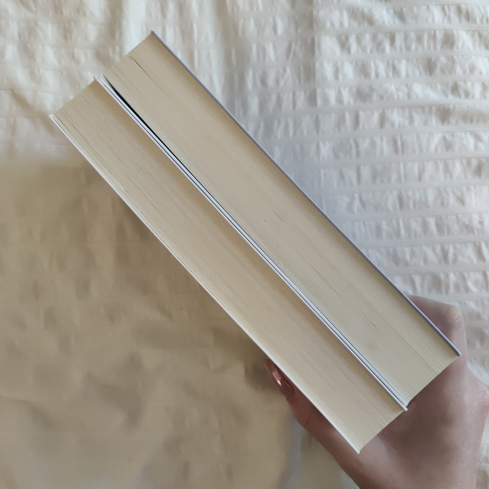The Neapolitan Novels box set by Elena Ferrante(Europa Editions,trade paperback)