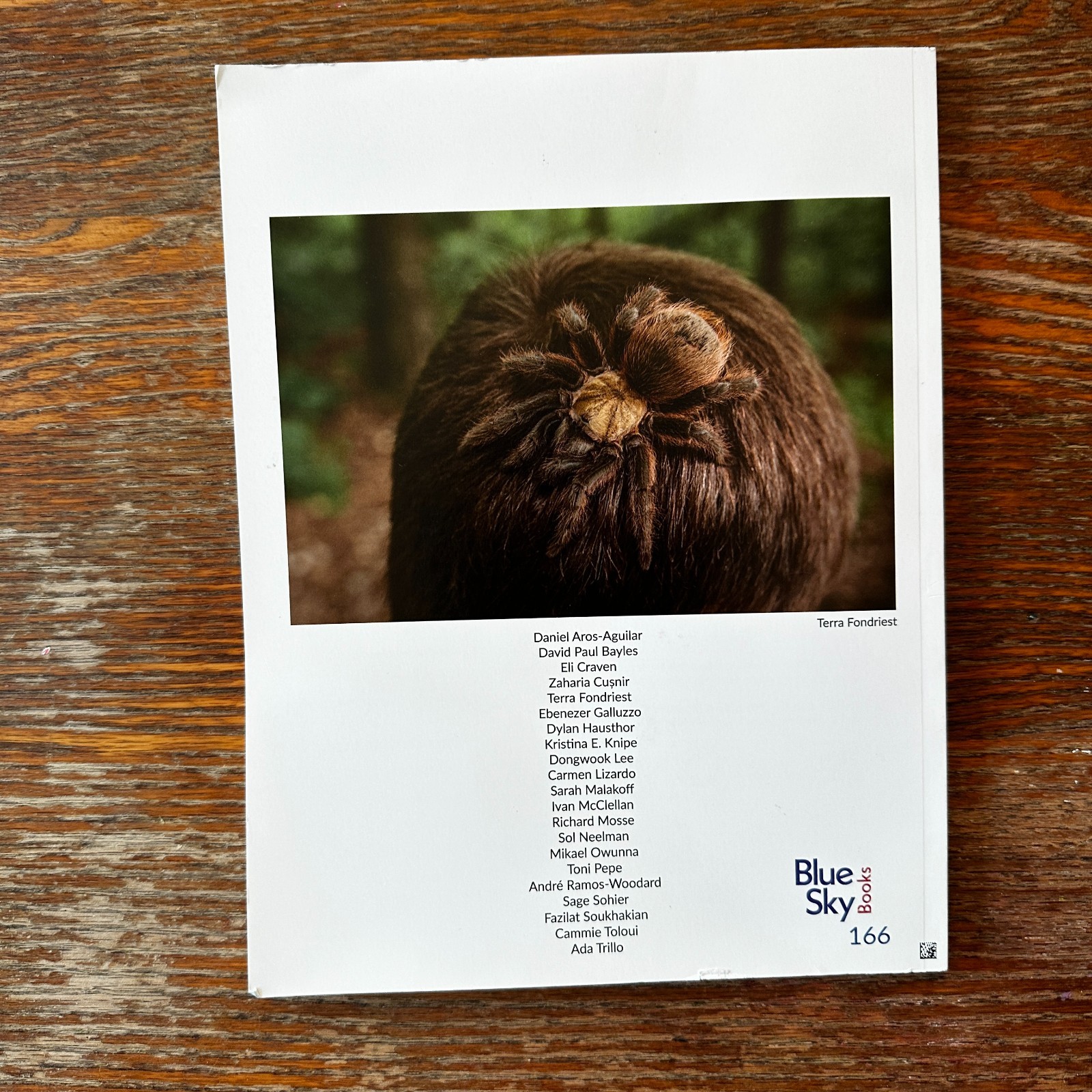 Blue Sky Gallery 2023-24 Paperback Catalog Portland Photography Gallery VG
