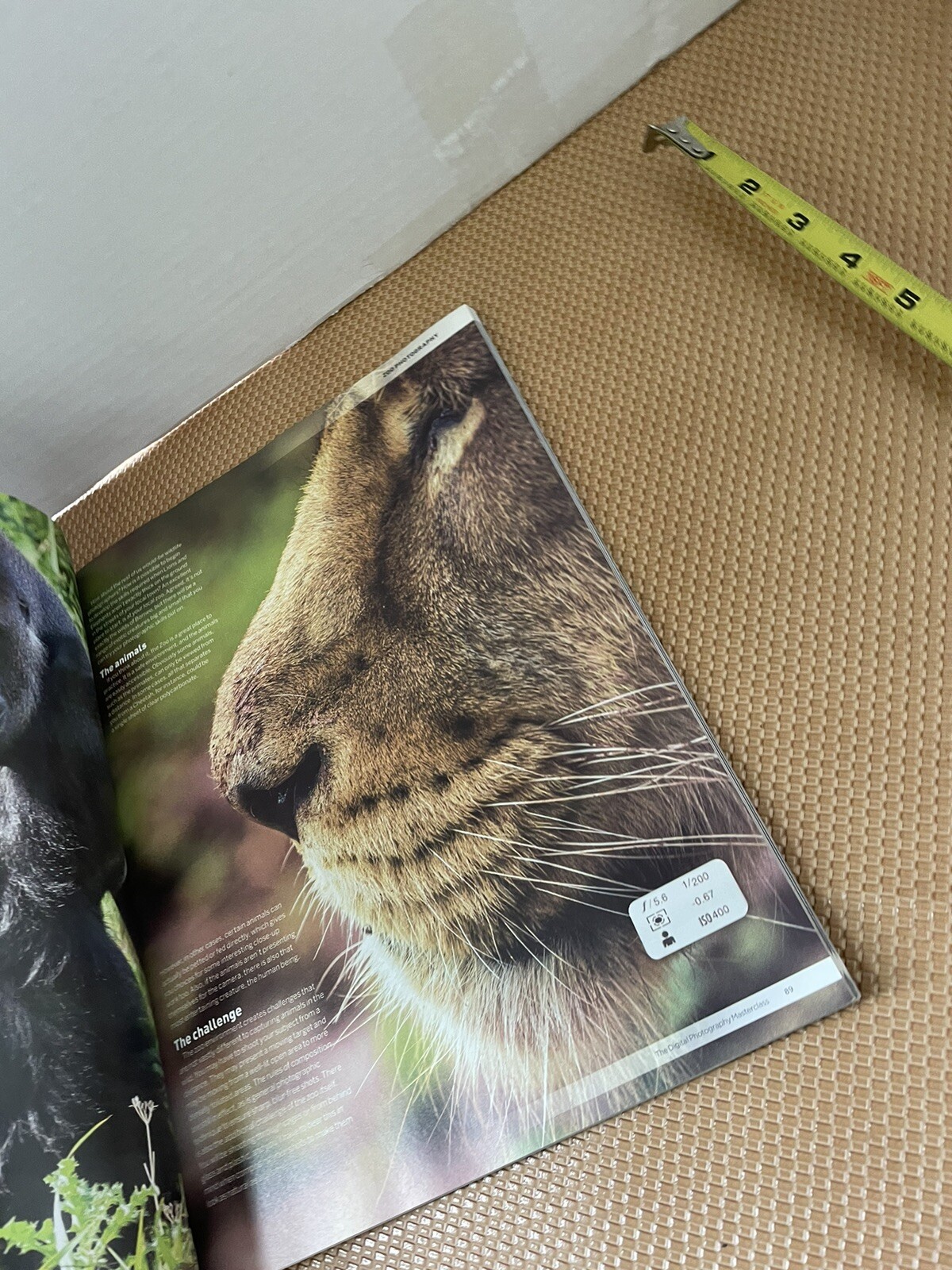books THE DIGITAL PHOTOGRAPHY MASTERCLASS used non fiction self help
