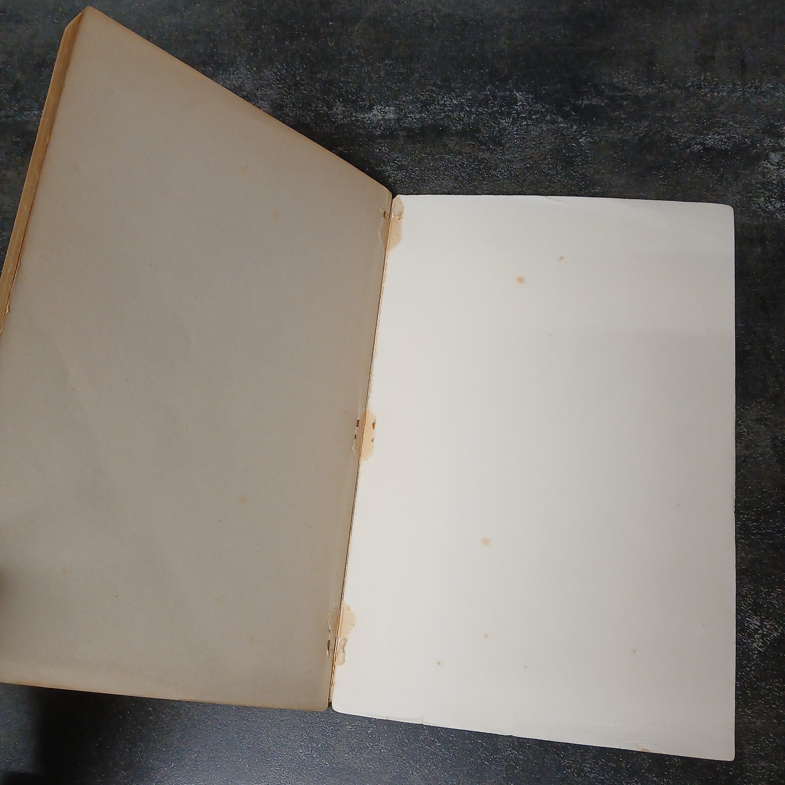 The War in Black with White Book 2 – Vintage WWII Cartoon Compilation Geo White