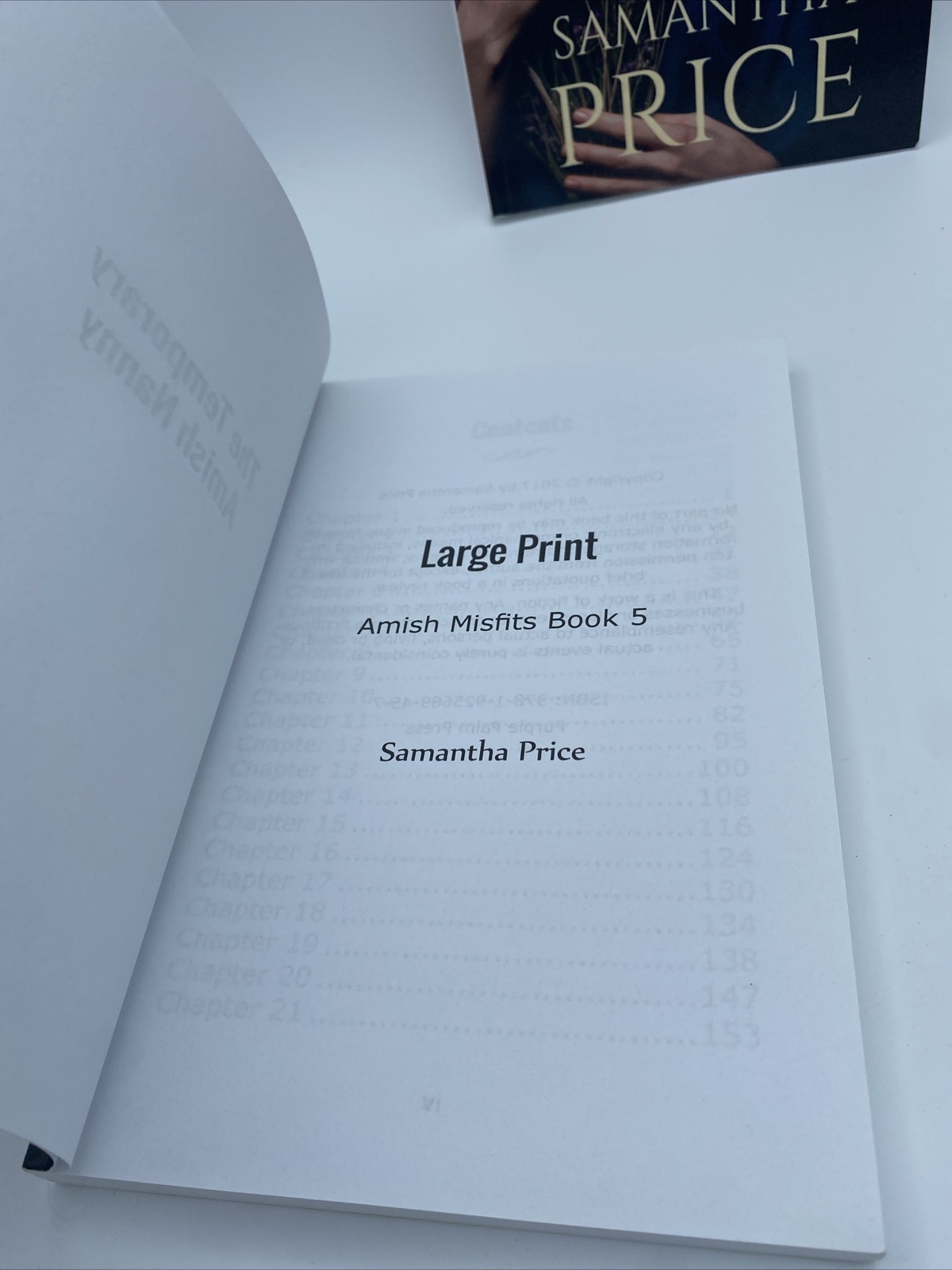 The Temporary Amish Nanny & The Amish Bishops Daughter Large Print books