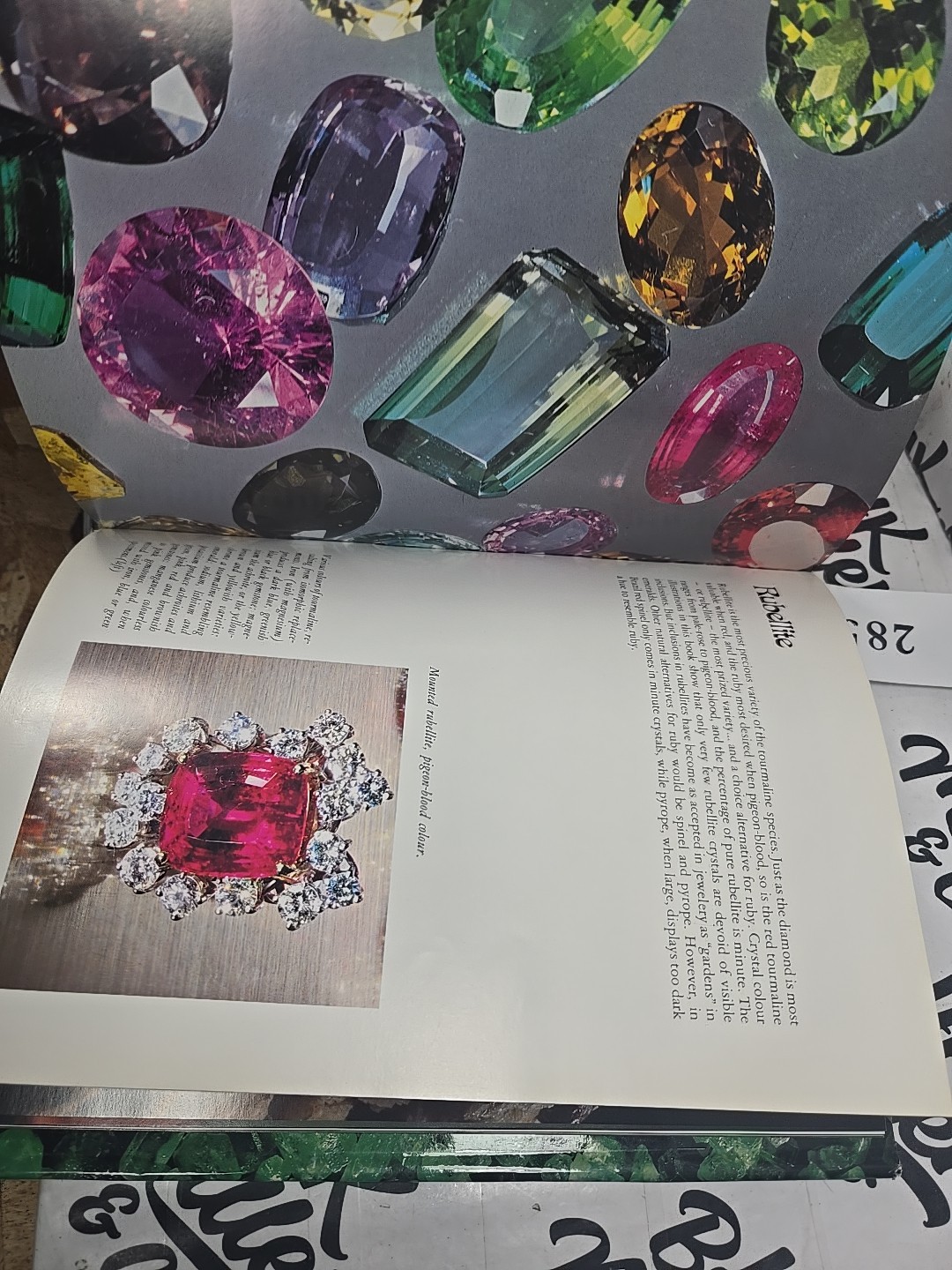 Brazil: Paradise of Gemstones [hardcover] Jules Roger Sauer,Harold Van Pelt,Eric