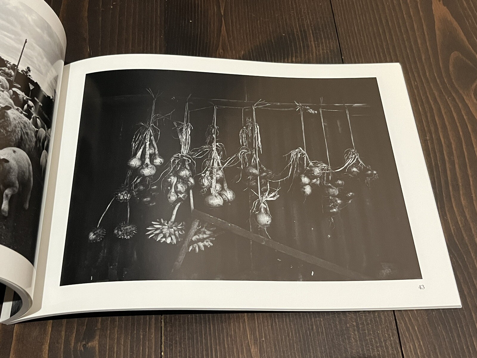 Masaoki Habano A Walk Through the North York Moors National Park PHOTO BOOK 2016