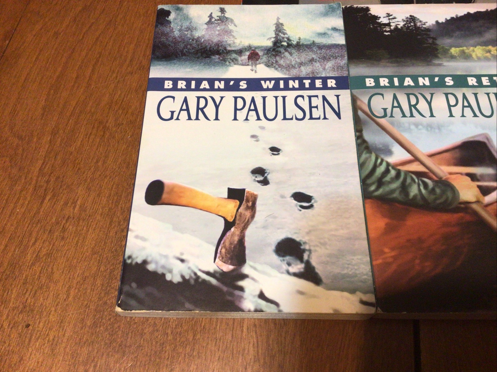 Complete Set Lot Of 5 BRIAN Books Paulsen HATCHET River HUNT Return WINTER (L2)