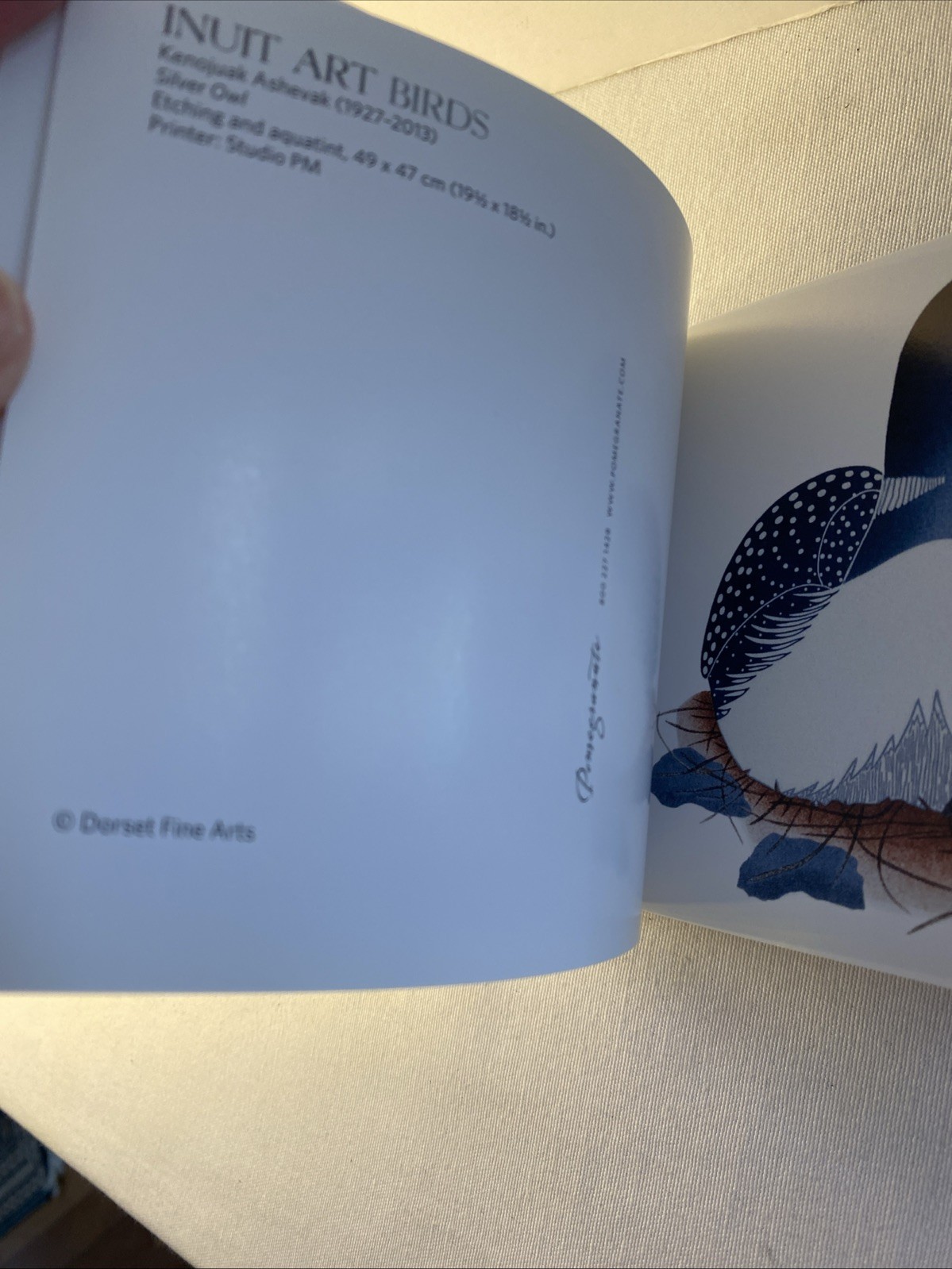 Inuit Art Birds 30 Postcards Reproduced Lithos MFA Suitable For Framing
