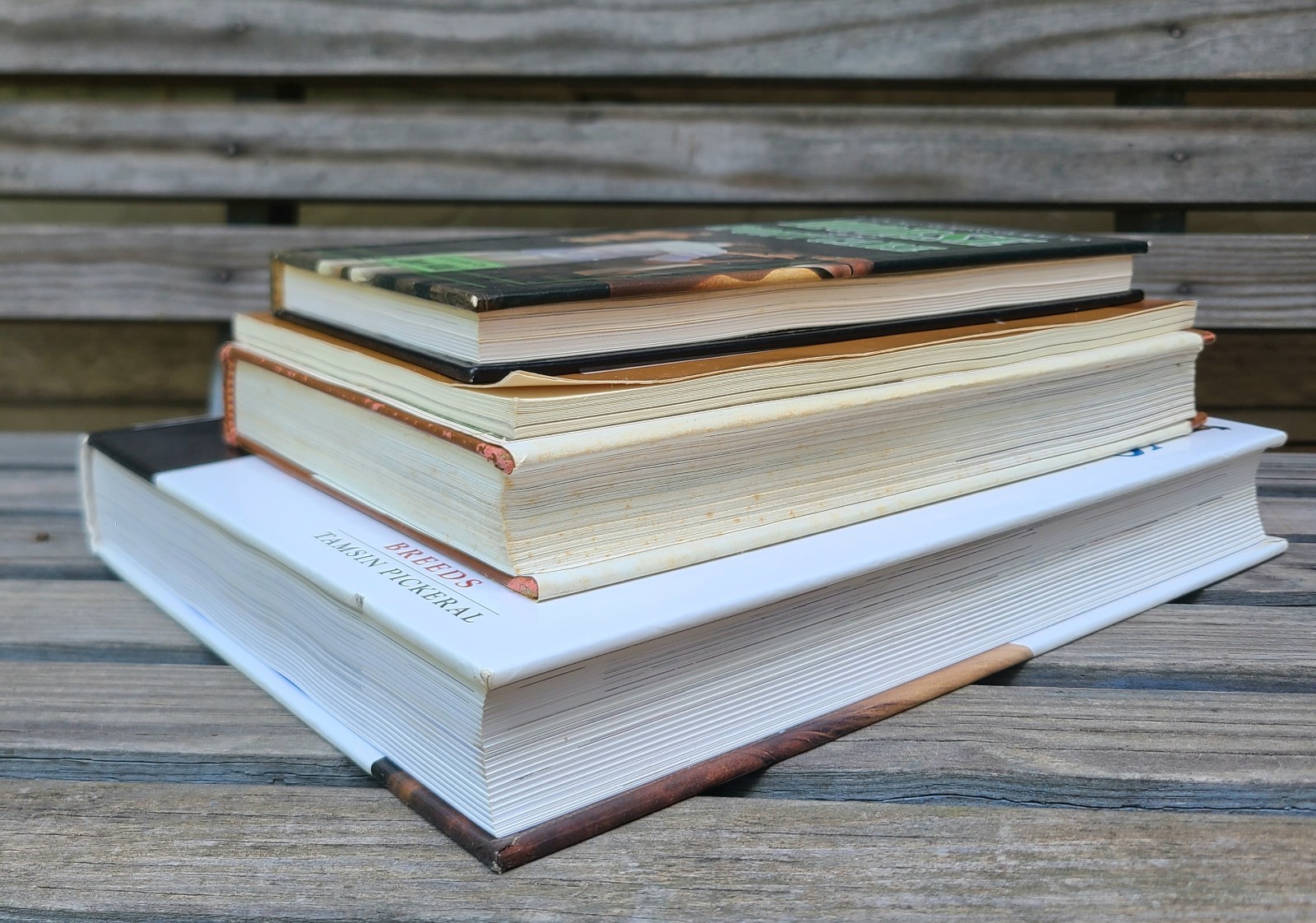 Vintage Books about Horses- Riding/Equestrian/Pony/Horse/Care/Health/Behavior