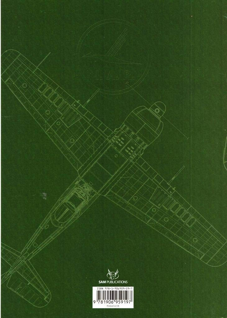 IAR.80 AND IAR.81, THE: Airframe, Systems and Equipment, Brinzan, Radu, Excellen