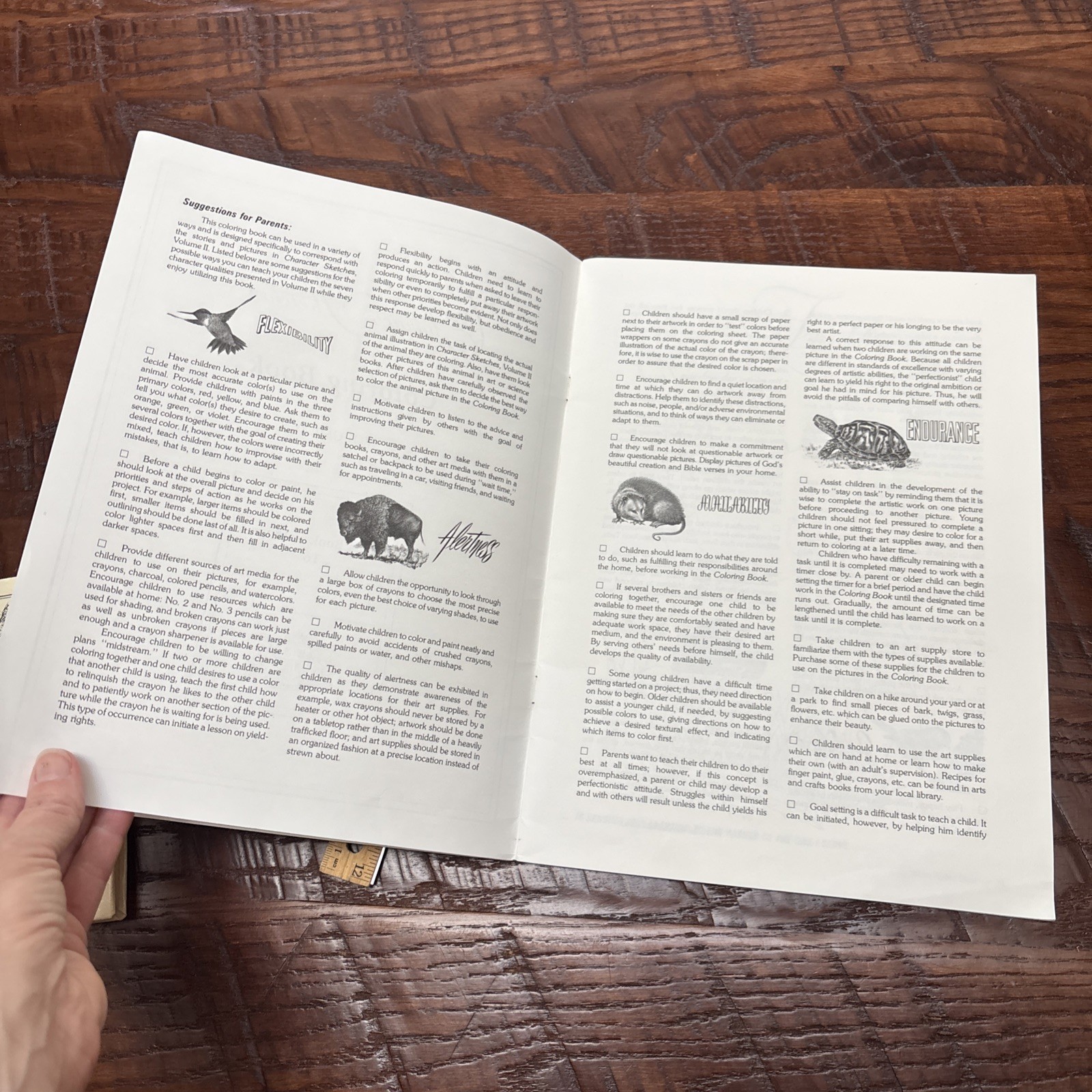 Character Sketches Coloring Book From the Pages of Scripture, Volume II unused