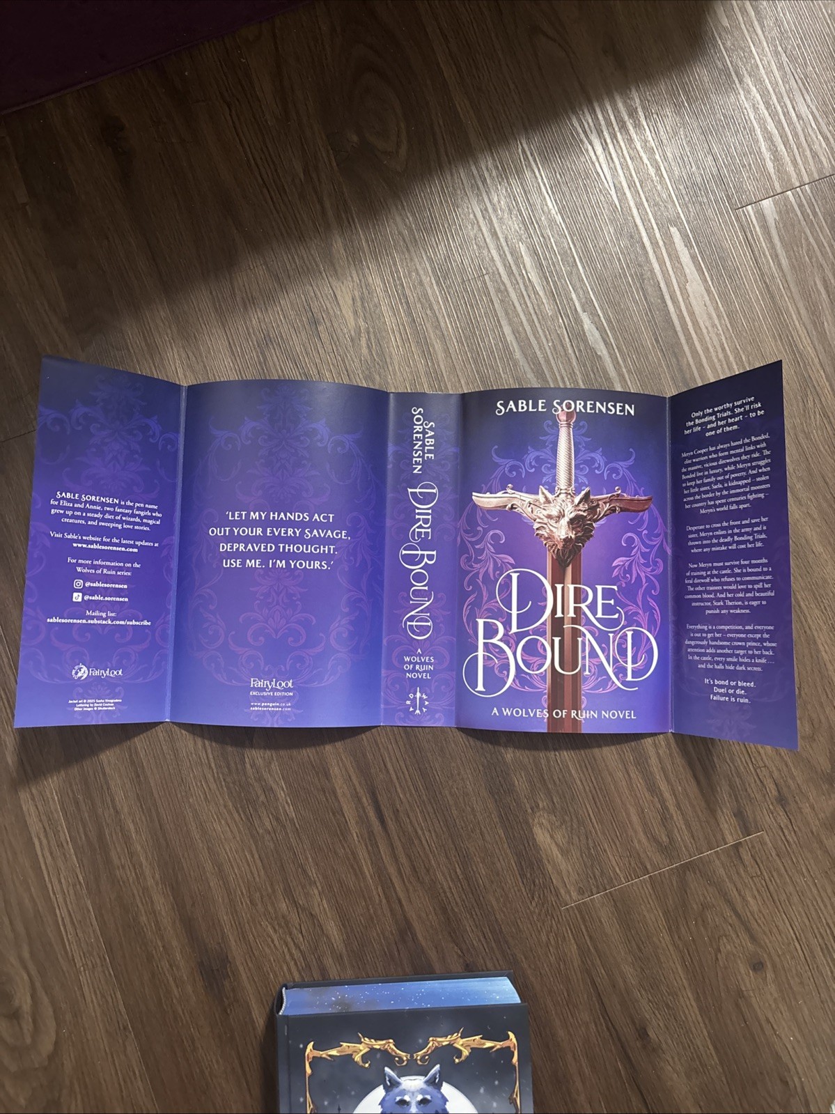 Dire Bound By Sable Sorensen – Signed Fairyloot Edition