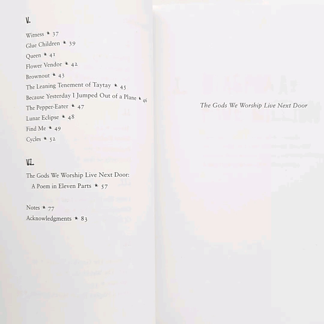The Gods We Worship Live Next Door by Bino A. Realuyo Signed First Edition Book