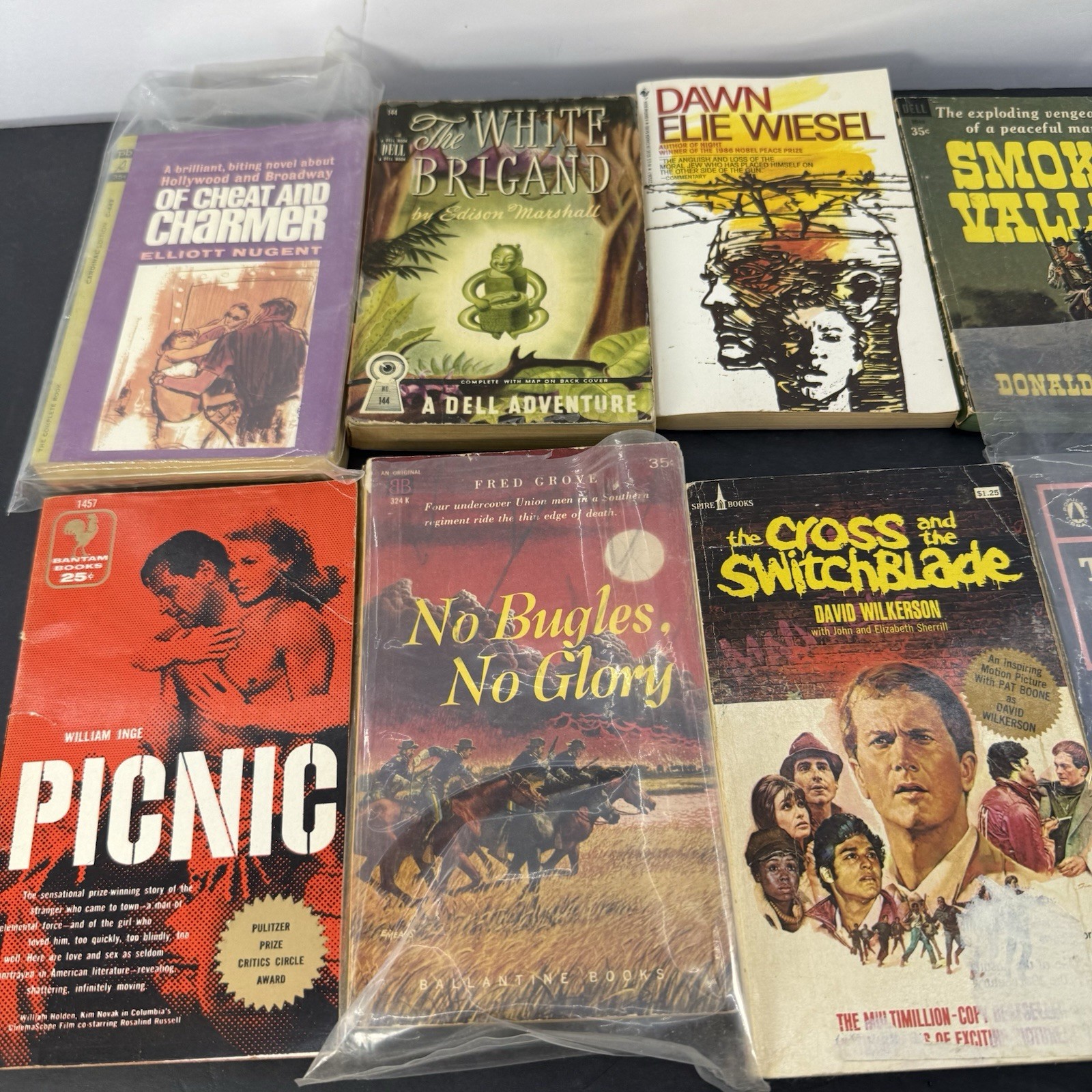 Vintage Paperback Fiction Lot Picnic Elie Wiesel Noir Mystery Drama Pulp