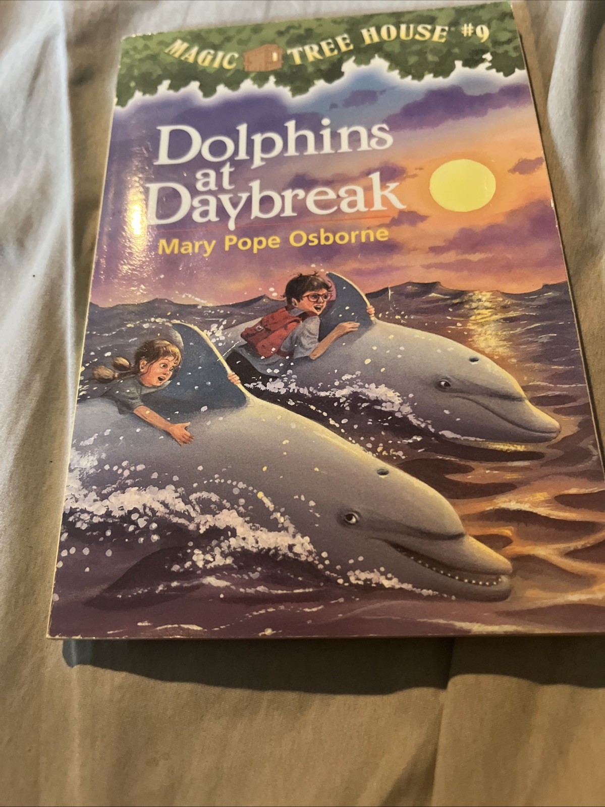 Dolphins at Daybreak Mary Pope Osborne