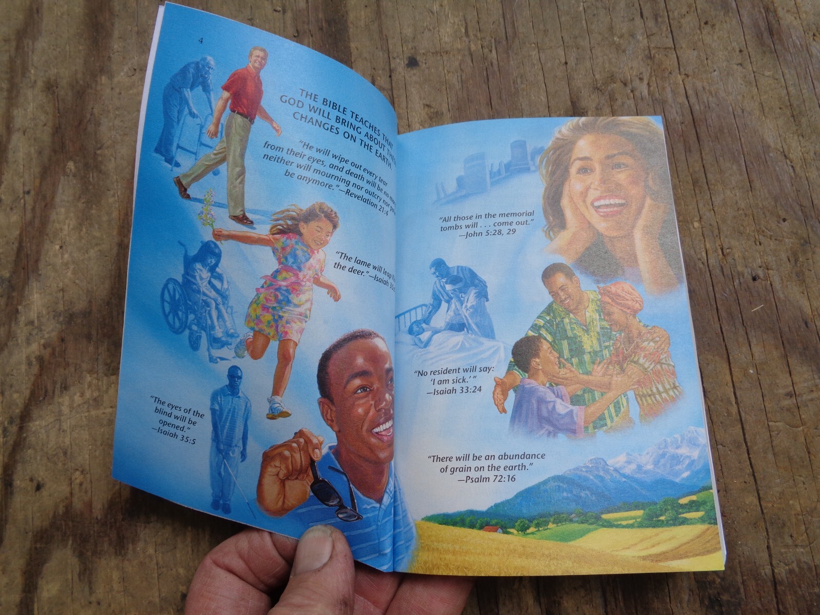 „WHAT DOES THE BIBLE REALLY TEACH?“. 2016. 223 pages. Paperback. Watchtower