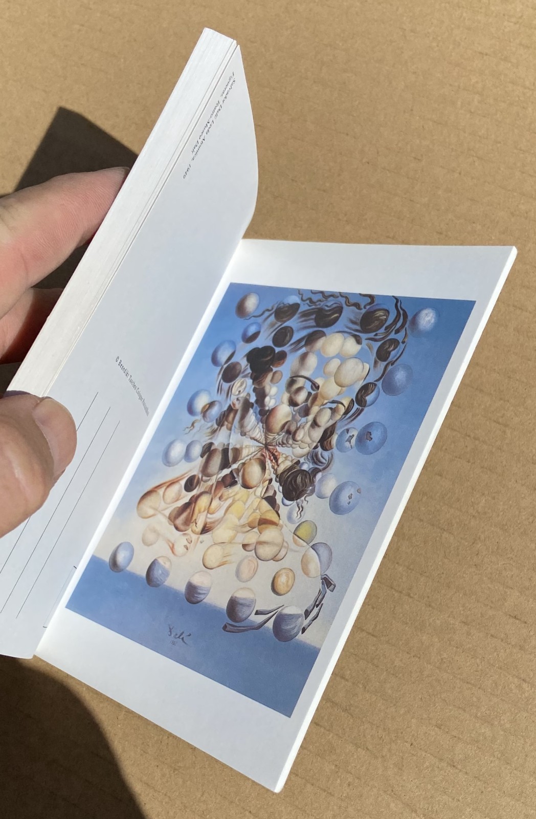 SALVADOR DALI 30 Postcards Postcard Booklet Book