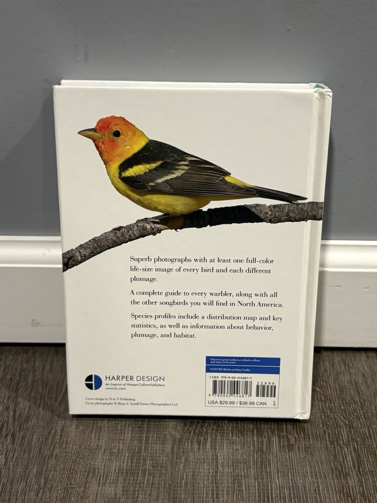 Warblers and Other Songbirds of North America : A Life-Size Guide to Every…