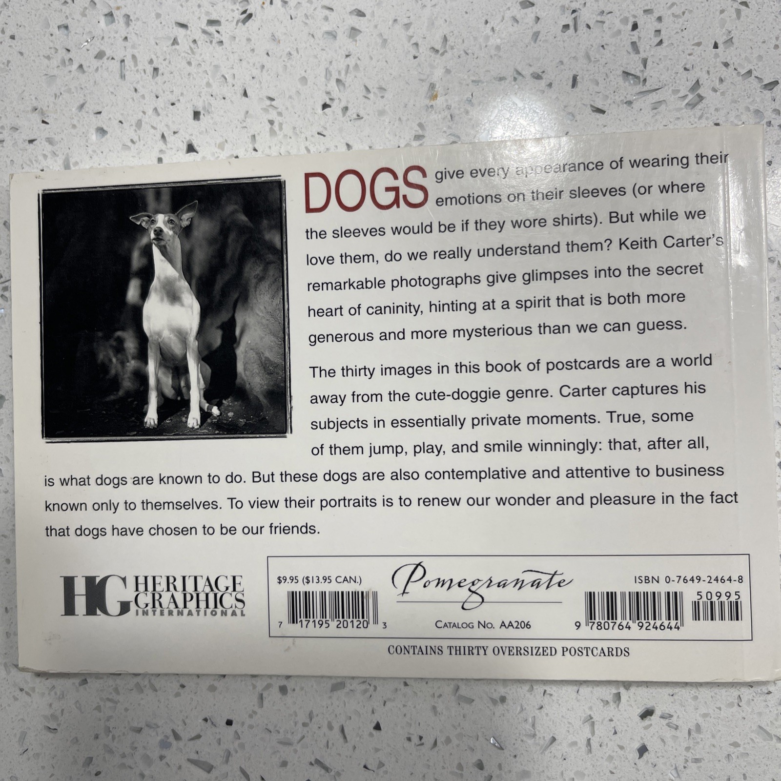 Dogs: A Book of Postcards