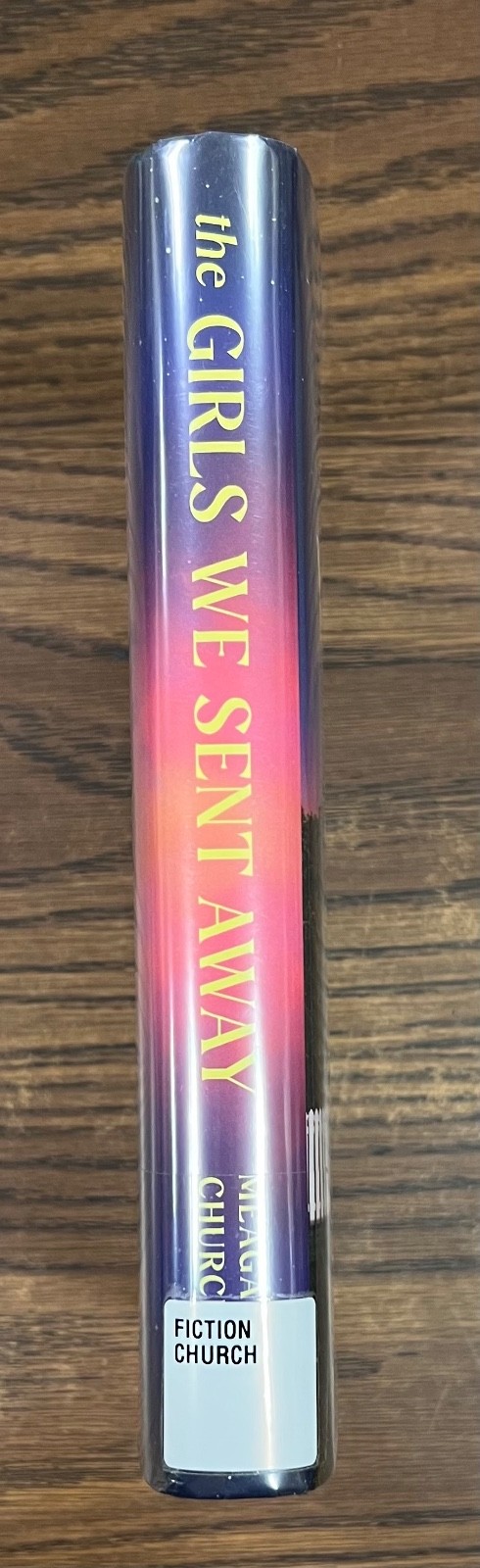 The Girls We Sent Away: A Novel