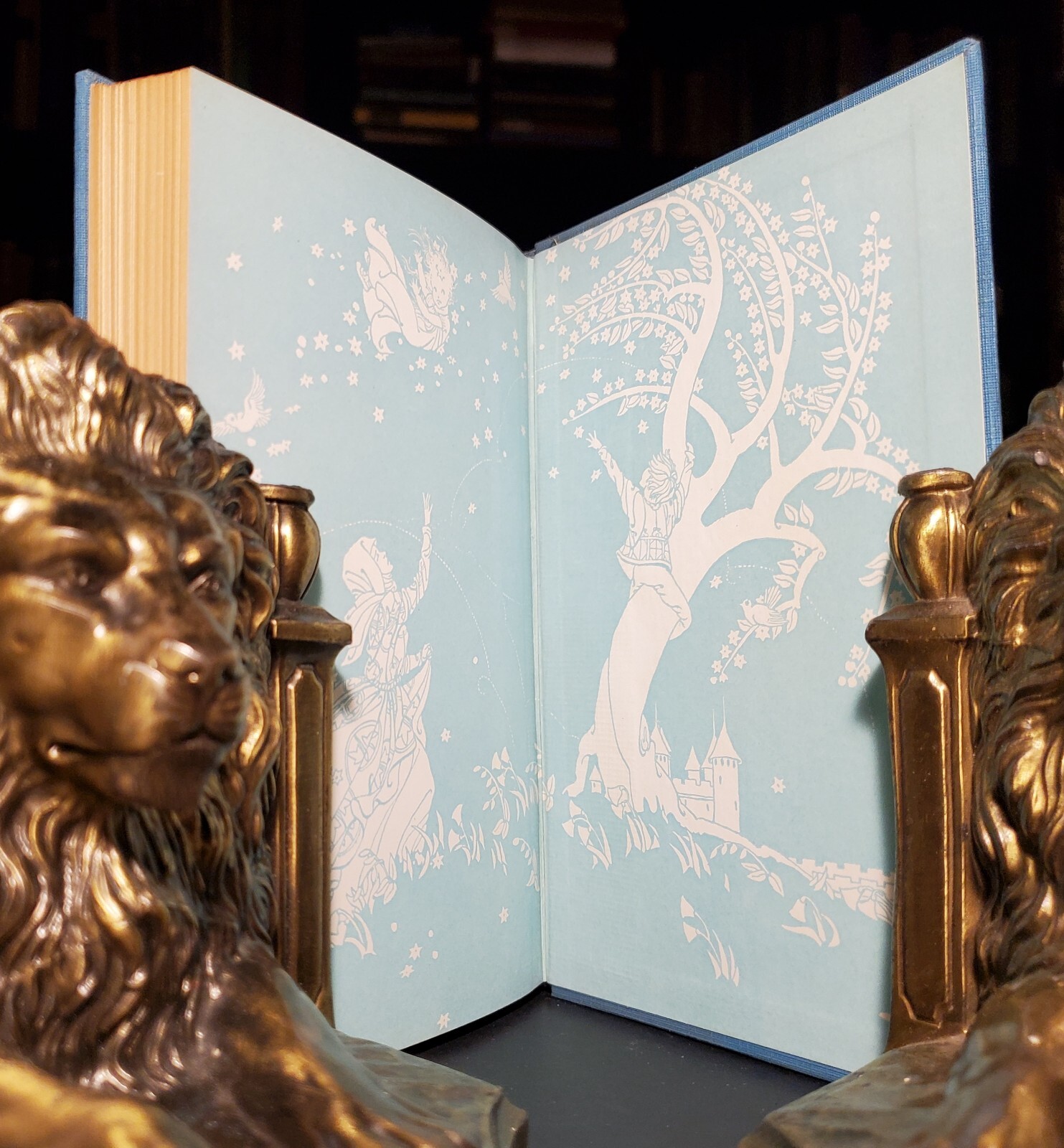 THE LIGHT PRINCESS George Macdonald 1927 *SIGNED* HC MacMillan co Illustrated