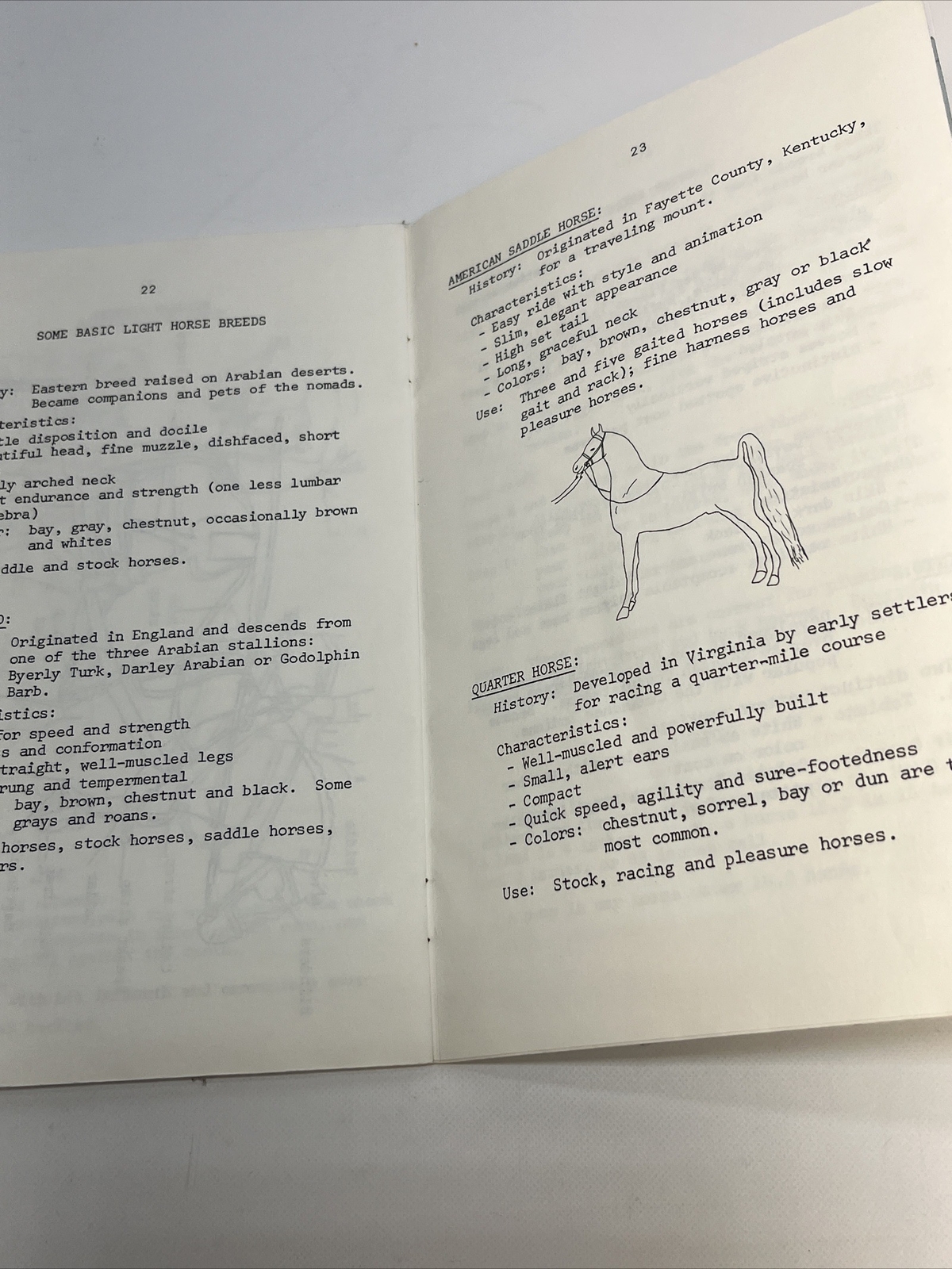 1979 Horsemanship Manual “Honey Rock Camp” Wheaton, IL. By Judy Meyer 32 Pages