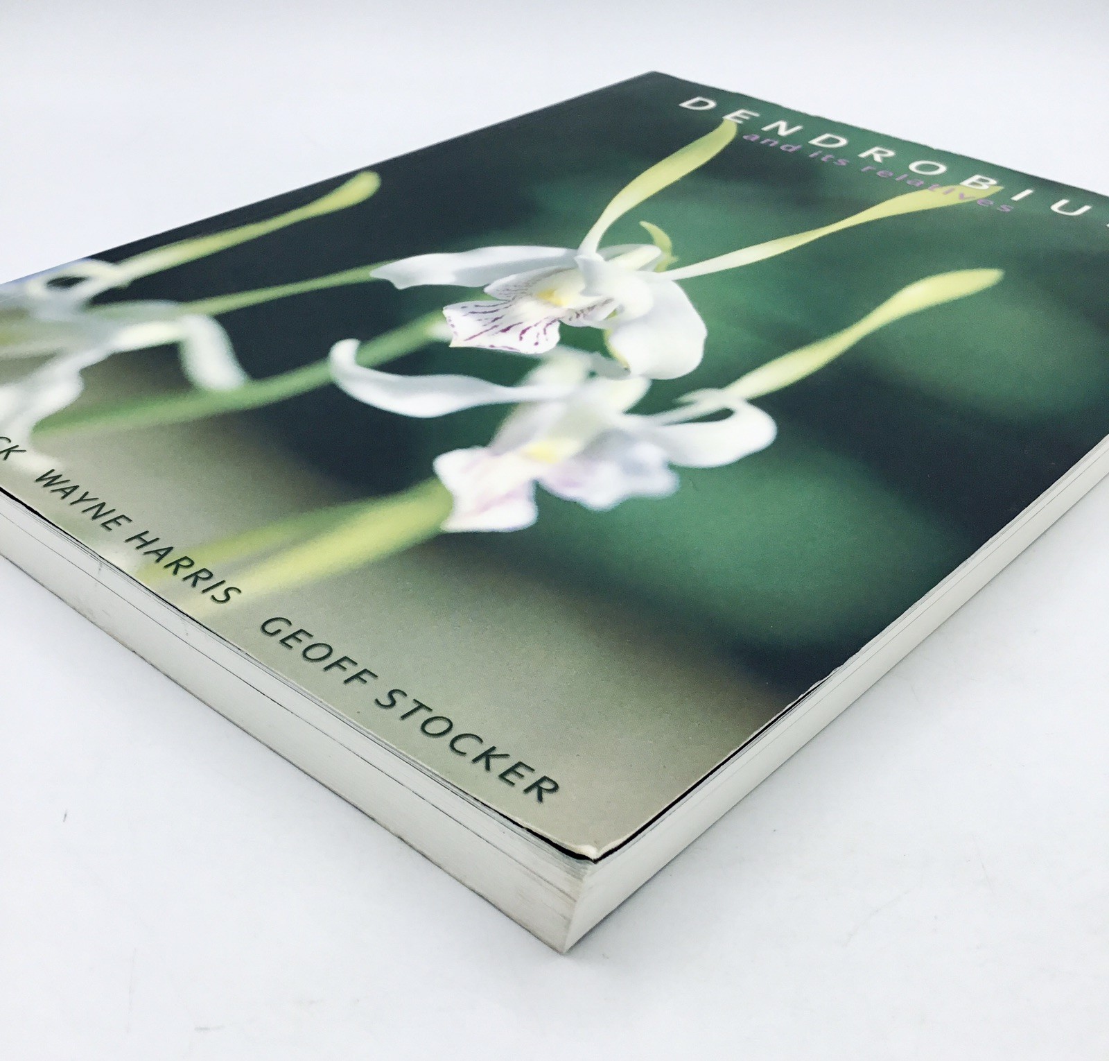OOP💥 Dendrobium and Its Relatives Orchid Book; Lavarack Harris Stocker TPB