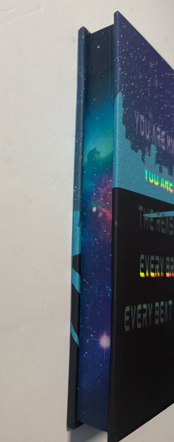 Taken By The Alien Next Door by Tiffany Roberts Beastly Tales Book Box Edition
