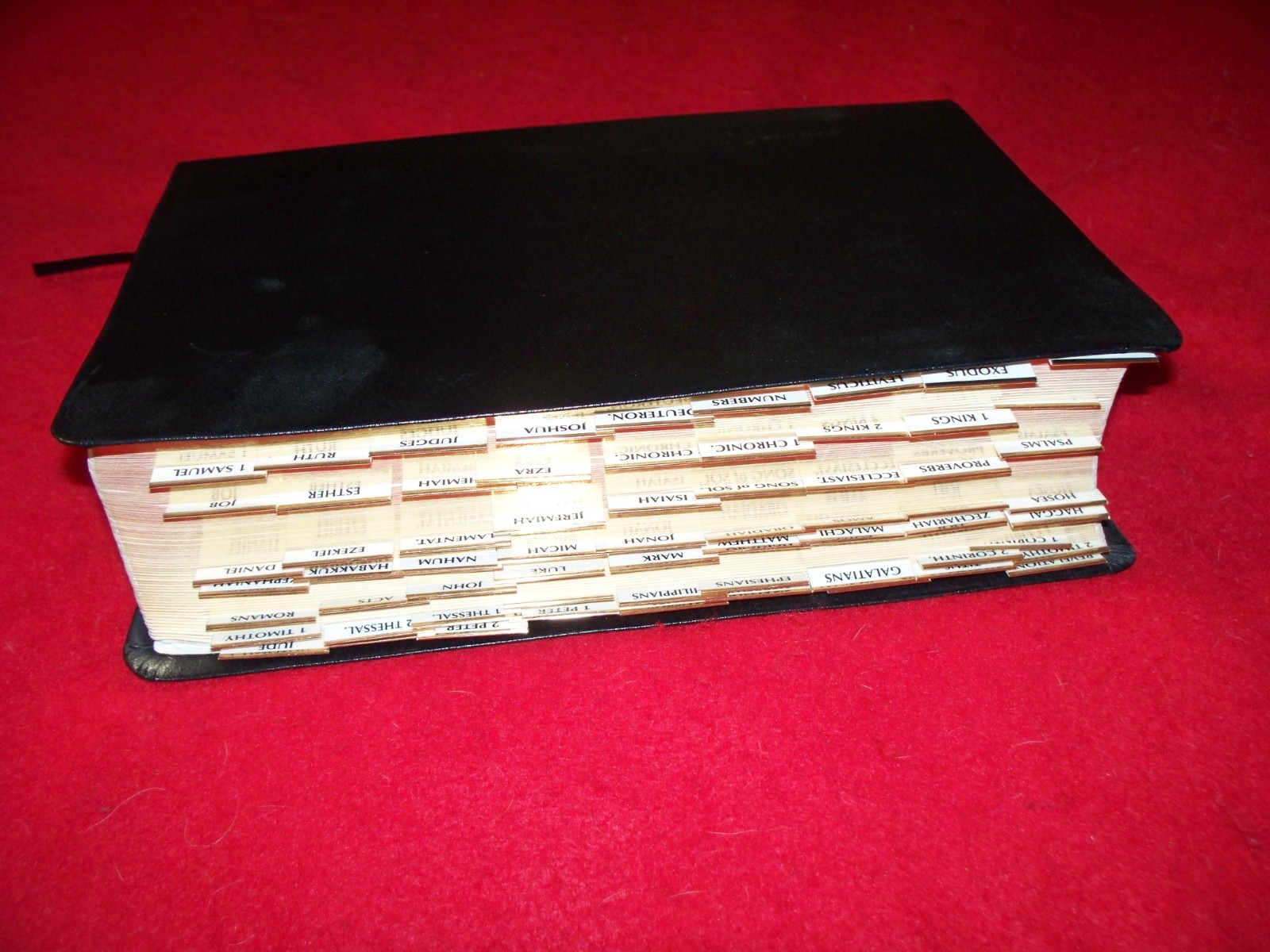 The New Hendrickson Parallel Bible, Bonded Leather With Edge Index