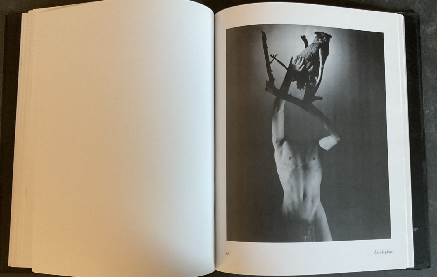George Platt Lynes: Photographs 1931-1955 Jack Woody Twelvetrees Press HC/DJ