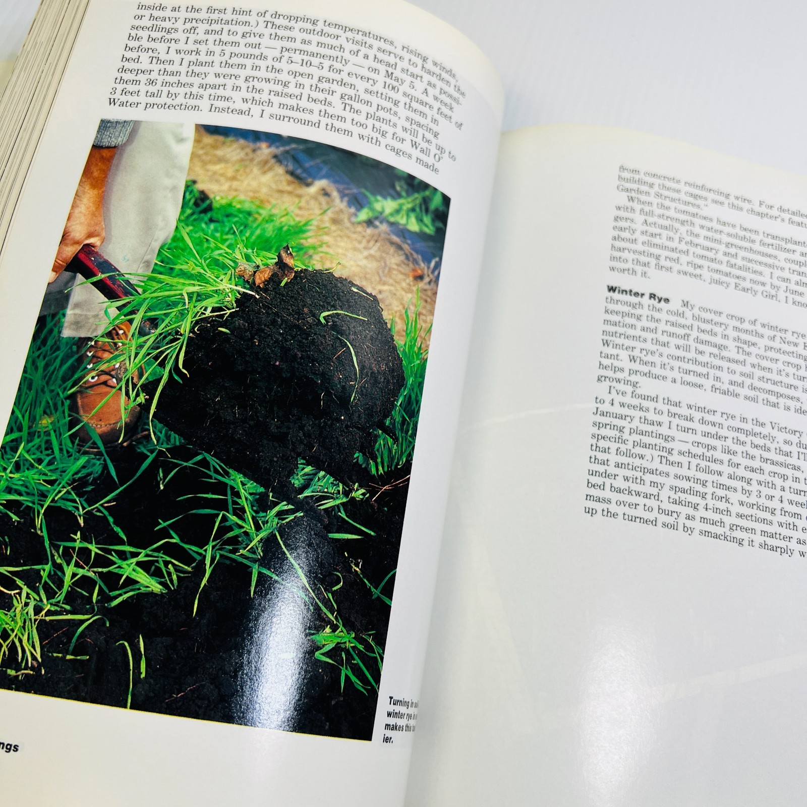 The Victory Garden: The Essential Companion : Three …