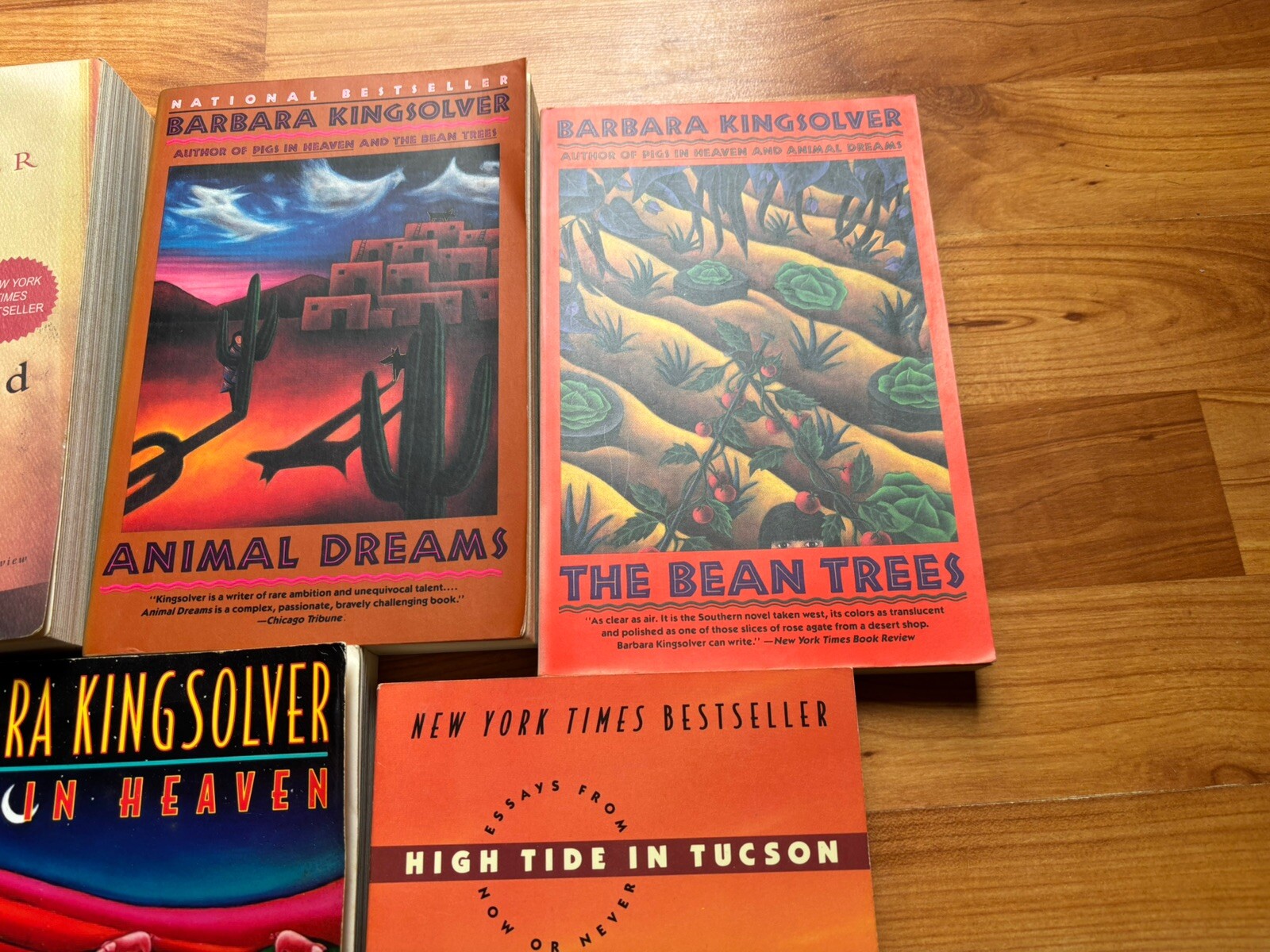 Barbara Kingsolver Paperback Books LOT x 5 Society Survival Pulitzer Prize