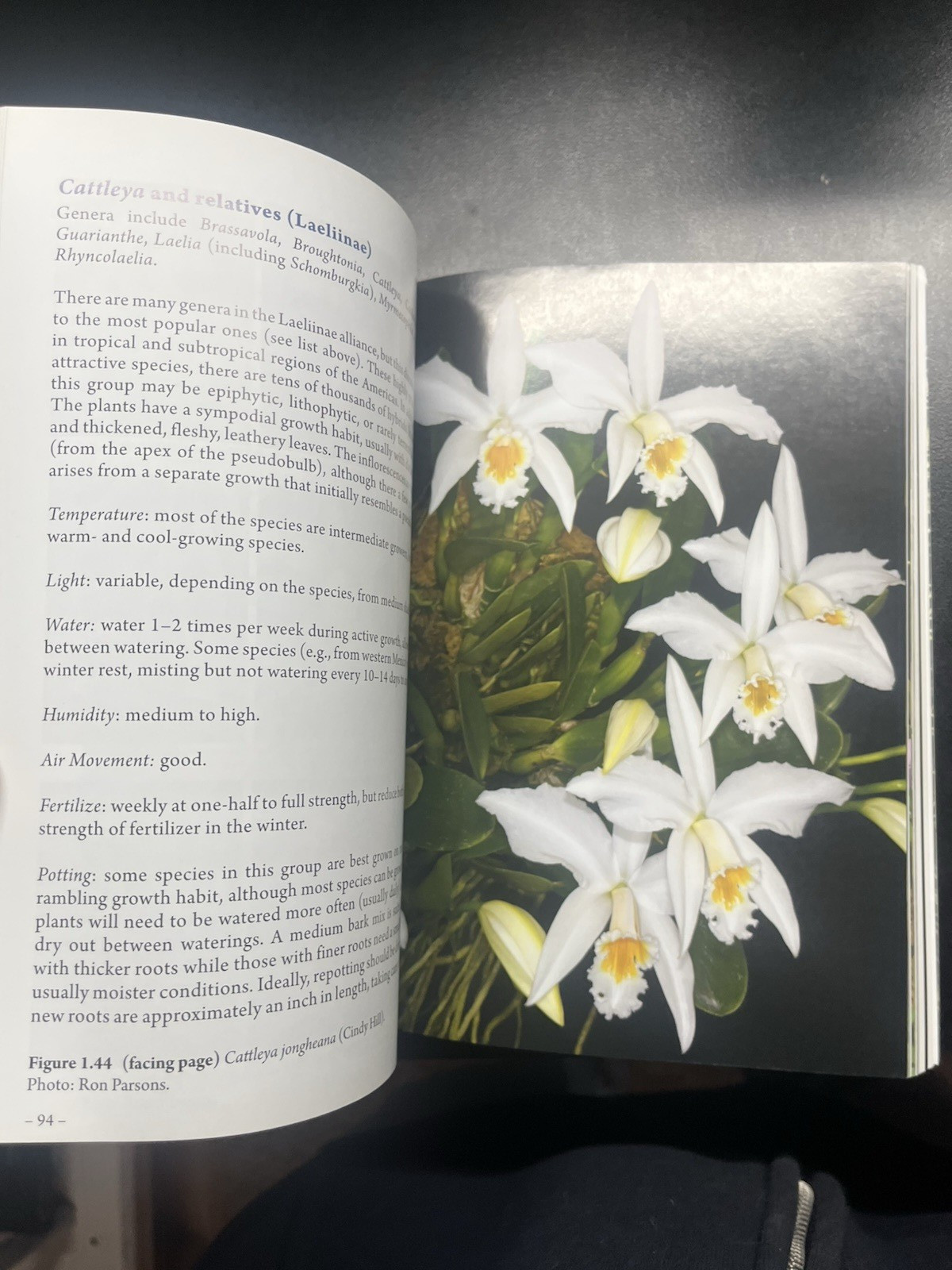 The American Orchid Society Guide to Orchids and Their Culture (2019, PB, VG)