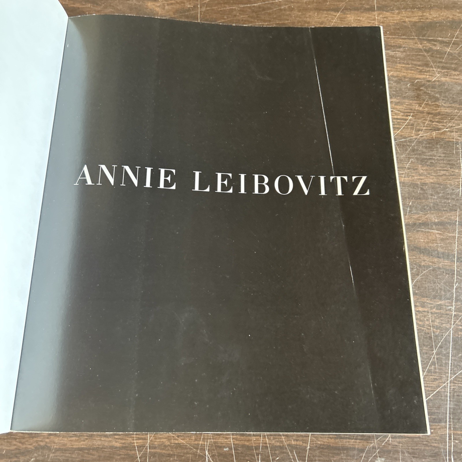 *Rare* Photographs by Annie Leibovitz 1970-1990 paperback Used 1st Edition!